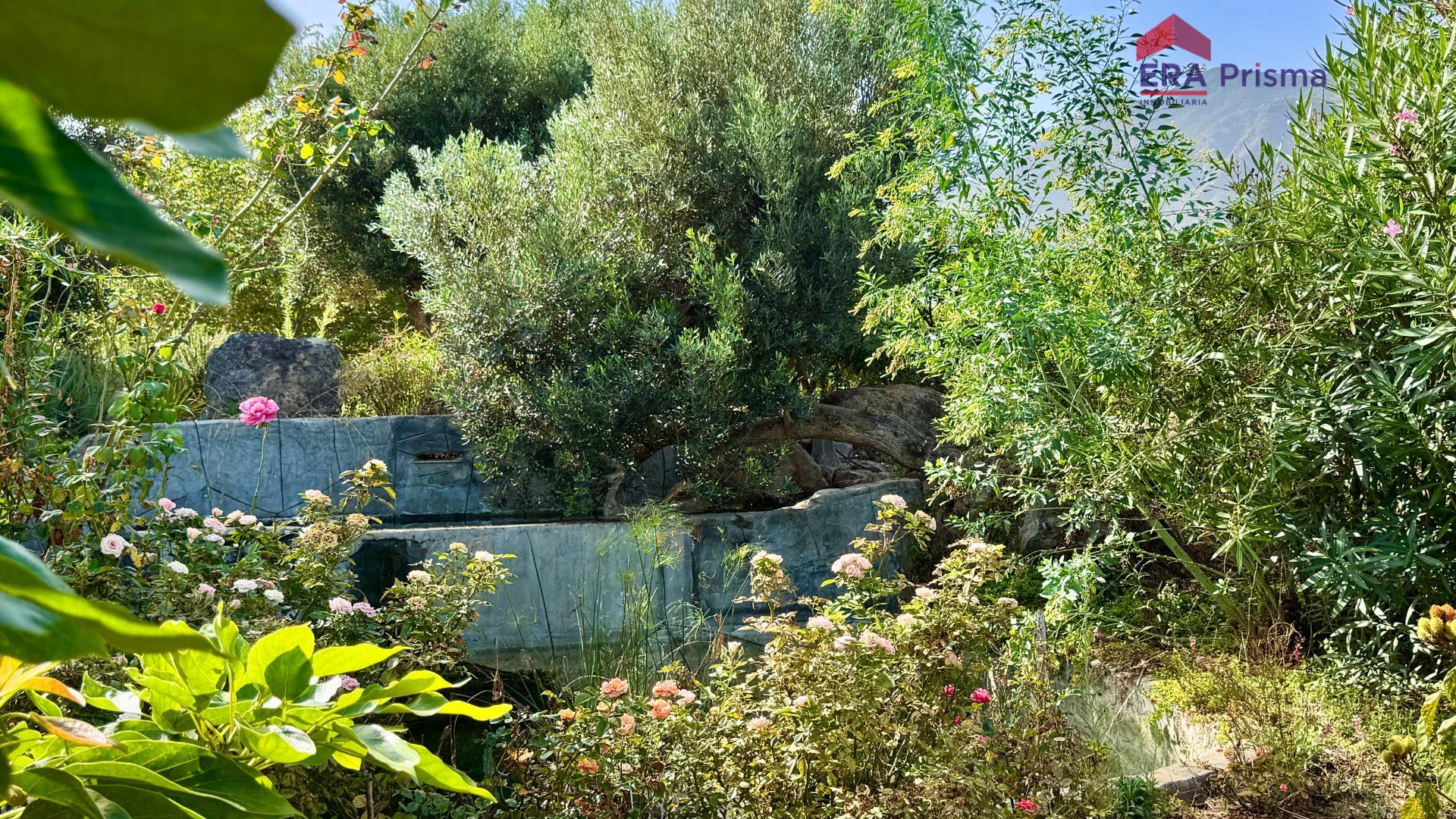 Casas rústicas en Buenavista del Norte, Buenavista del norte pueblo tenerife — imagen 28