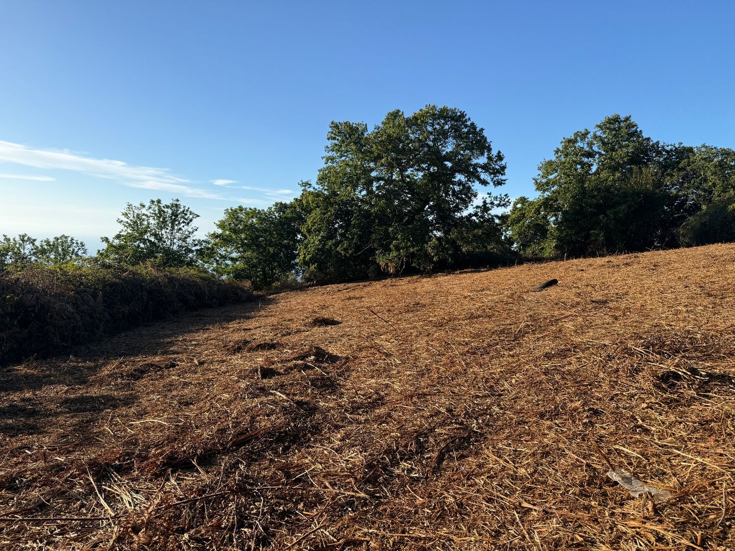 Terrenos en Matanza de Acentejo, La — imagen 19