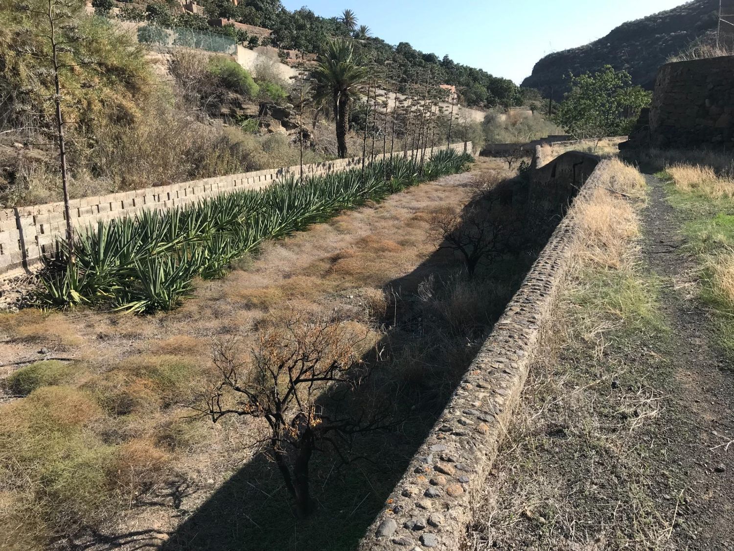 Casas rústicas en Telde — imagen 32