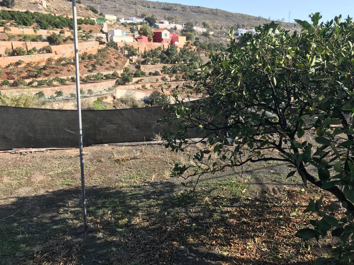 Casas rústicas en Telde — imagen 4