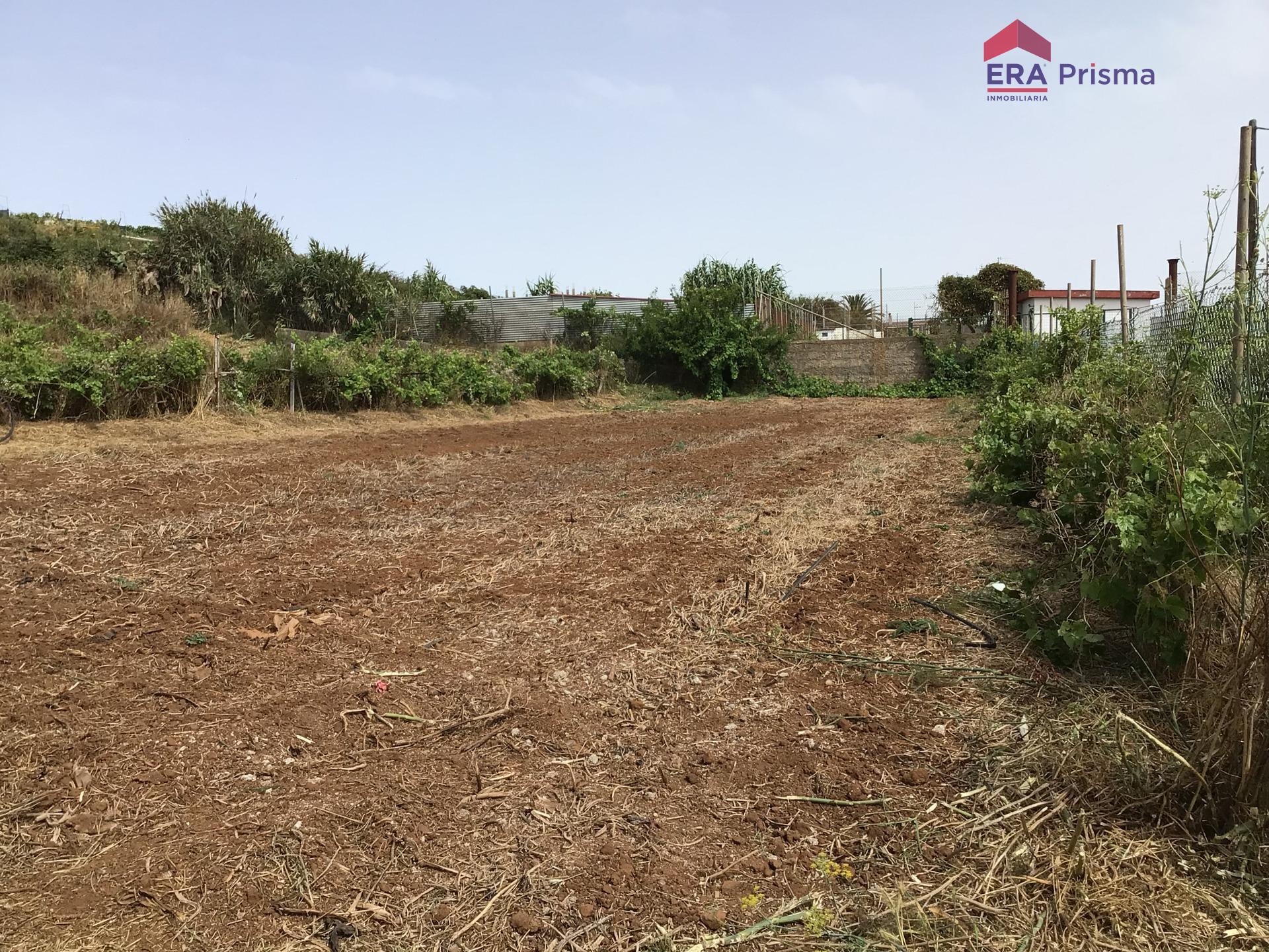 Casas rústicas en San Cristóbal de La Laguna, Los Baldíos — imagen 11