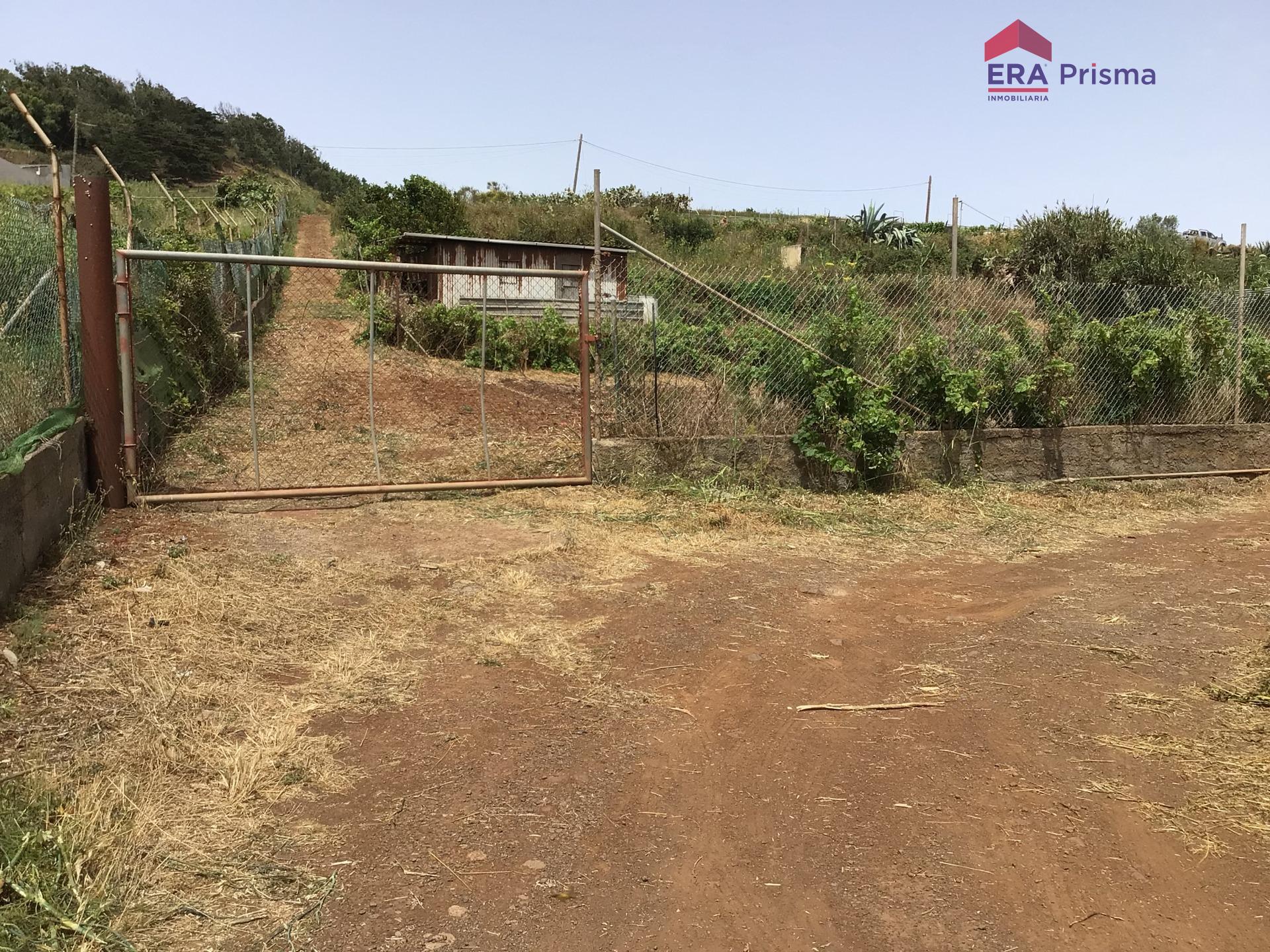 Casas rústicas en San Cristóbal de La Laguna, Los Baldíos — imagen 30