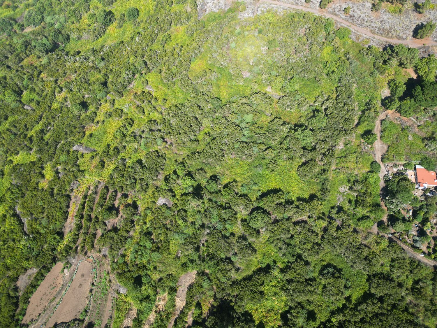 Terrenos en Tanque, El — imagen 7