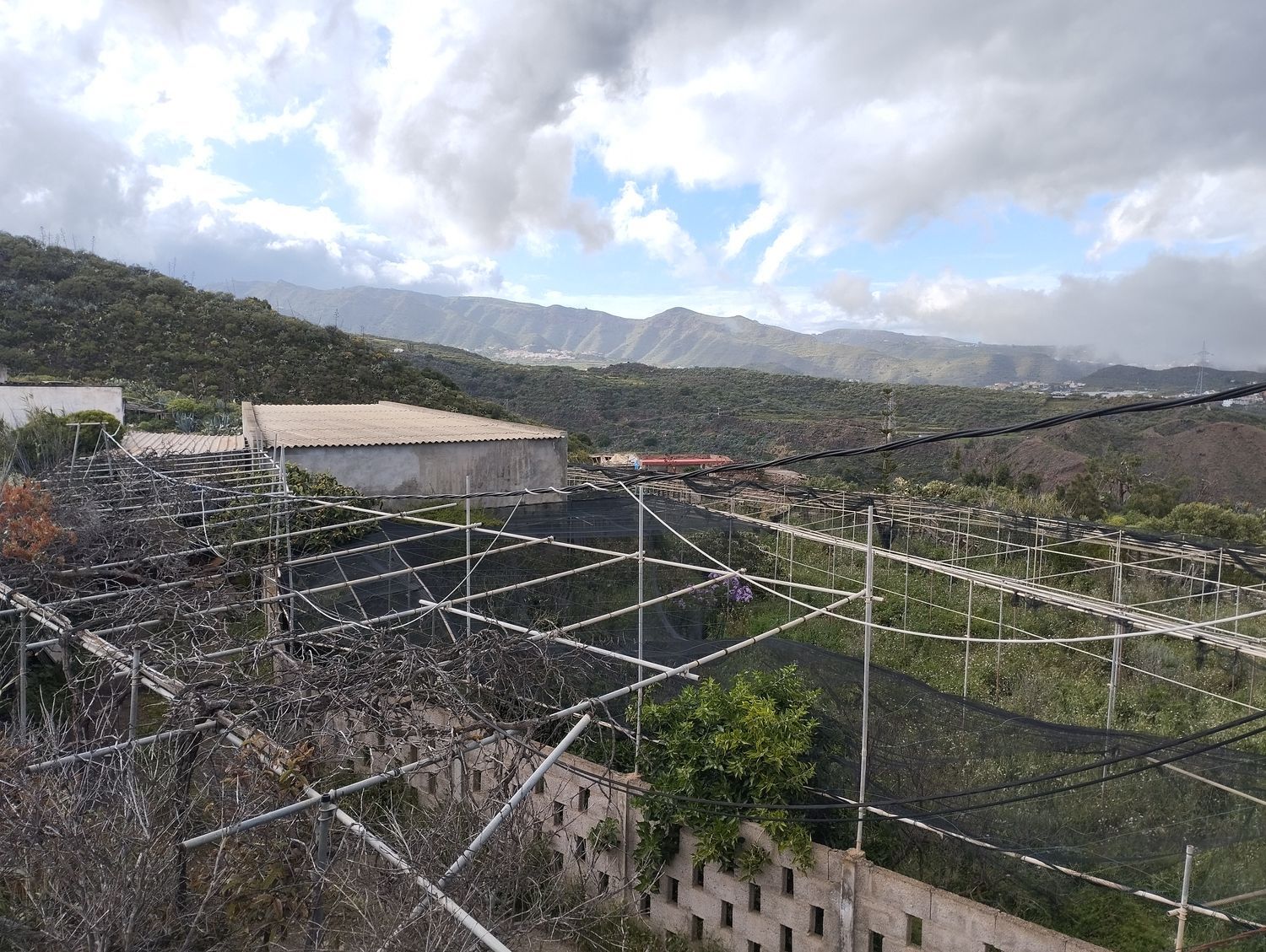 Terrenos en Telde — imagen 29