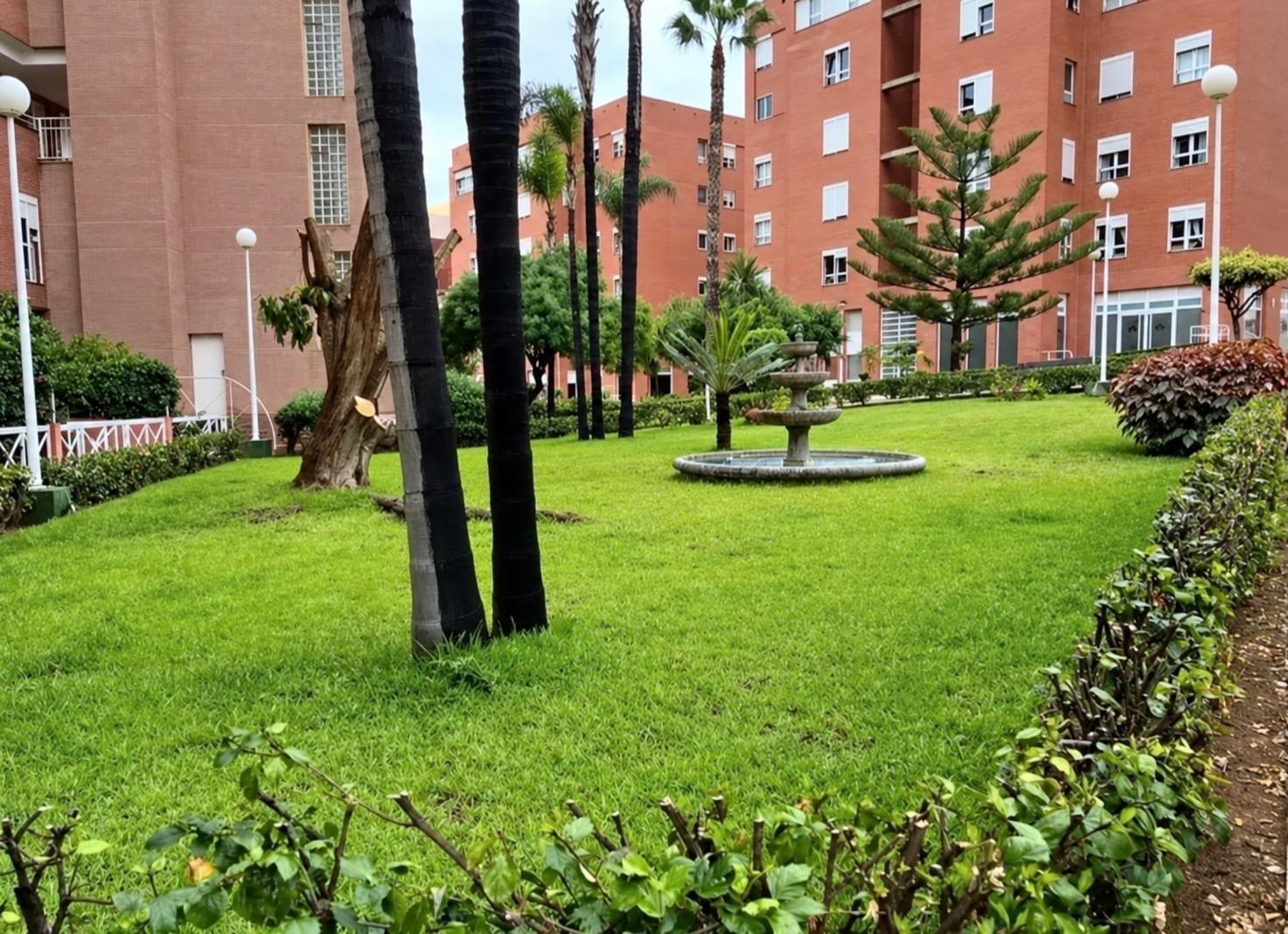 Áticos en Palmas de Gran Canaria, Las, La Minilla — imagen 19