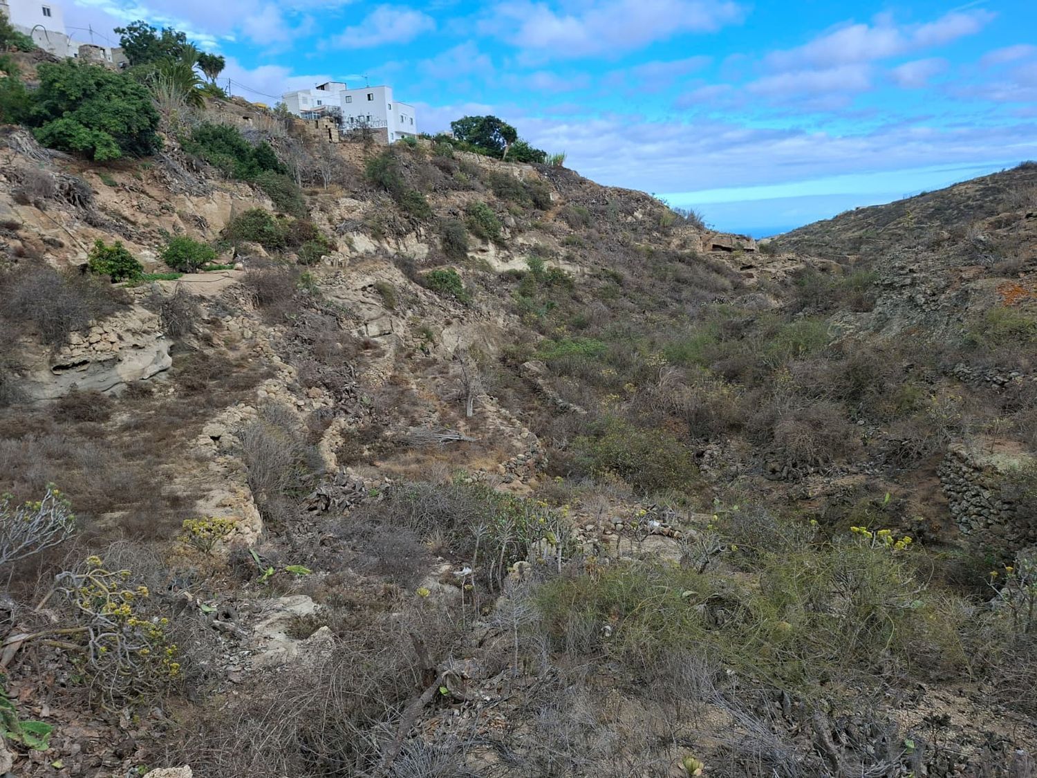 Terrenos en Arico — imagen 4