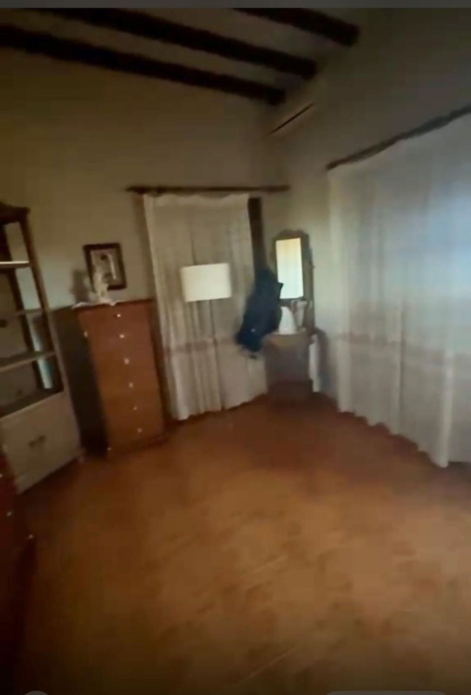 Adosados en Valsequillo de Gran Canaria — imagen 18