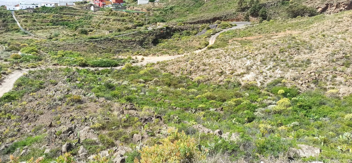 Terrenos en Fasnia — imagen 3