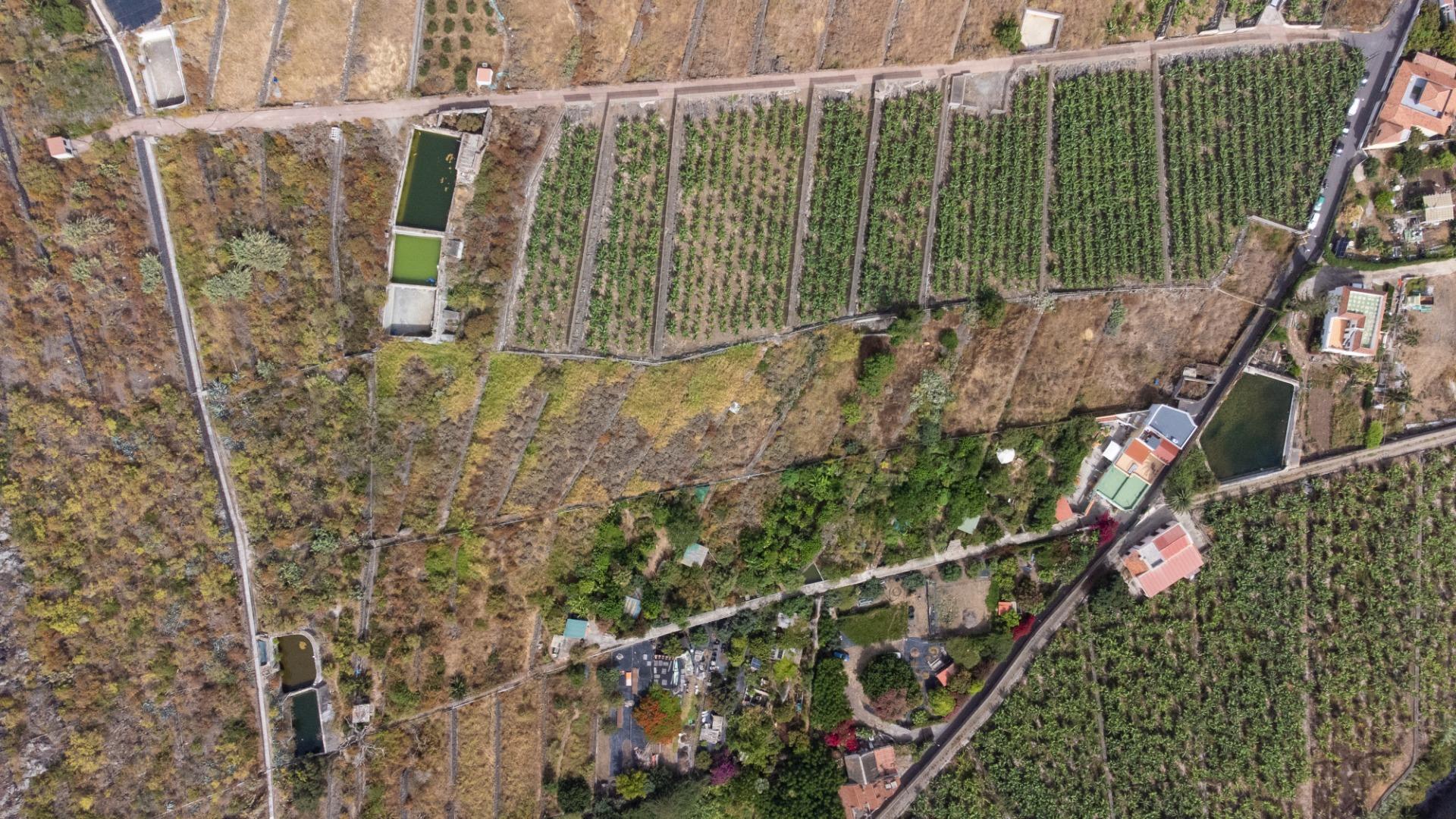 Casas rústicas en Silos, Los, Zona Centro — imagen 7