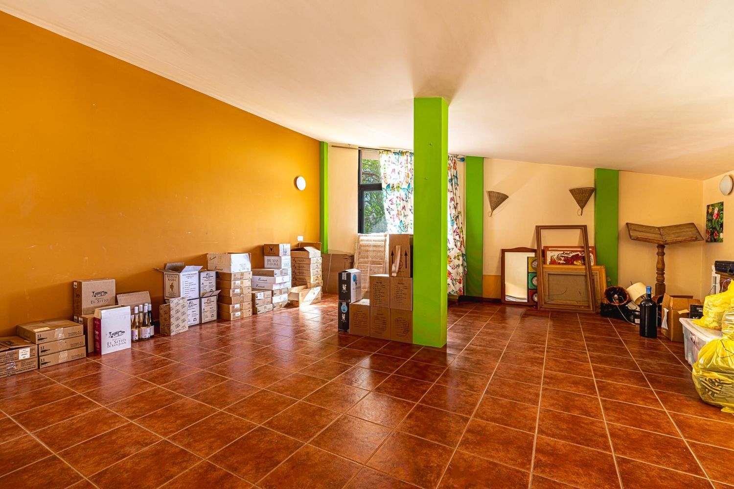 Independientes en Candelaria — imagen 49