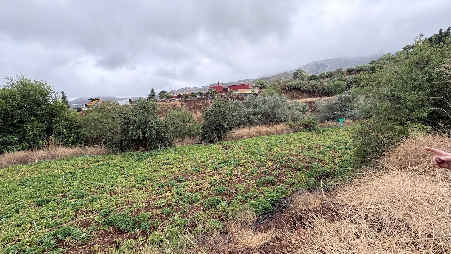 Terrenos en Vega de San Mateo — imagen 6