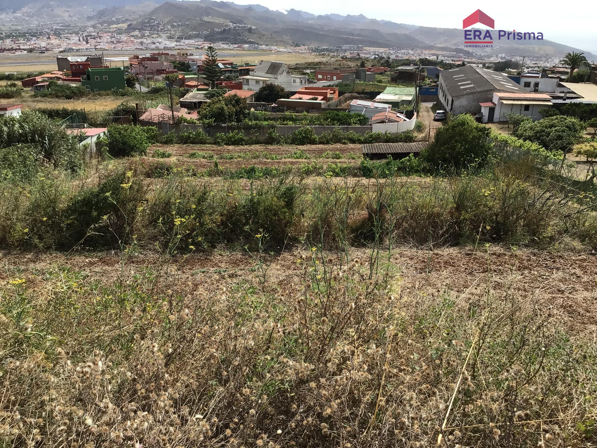 Casas rústicas en San Cristóbal de La Laguna, Los Baldíos — imagen 16