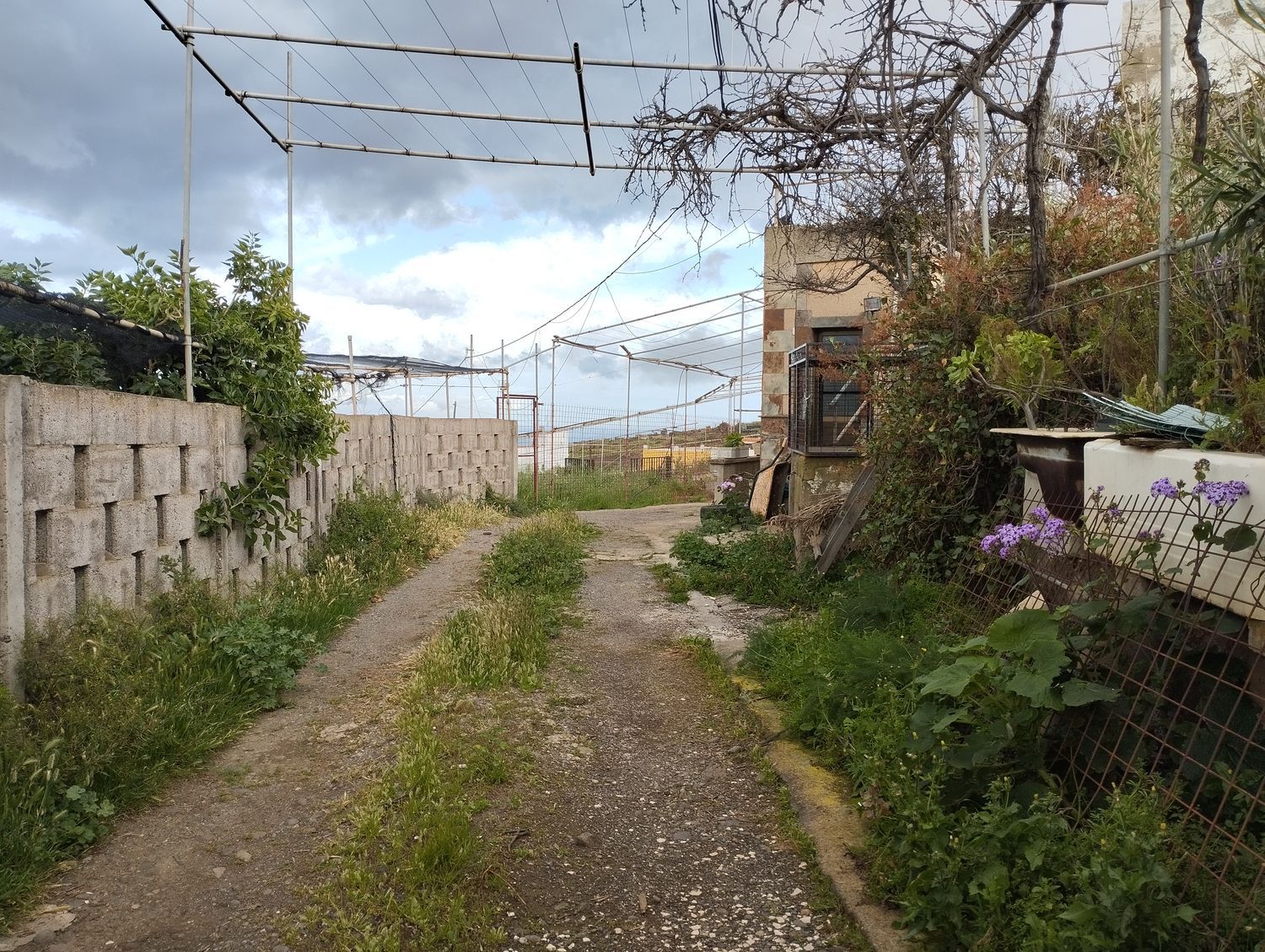 Terrenos en Telde — imagen 31