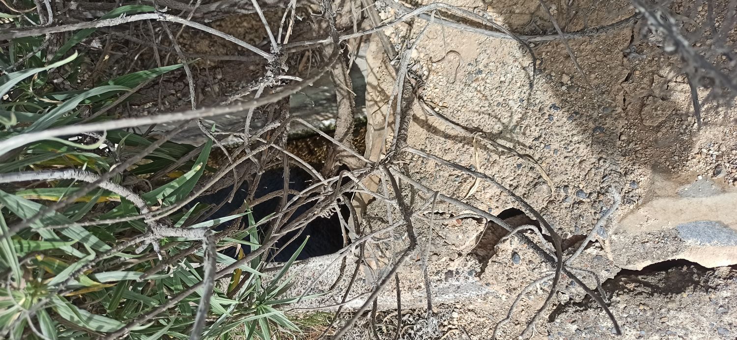 Terrenos en Fasnia — imagen 20