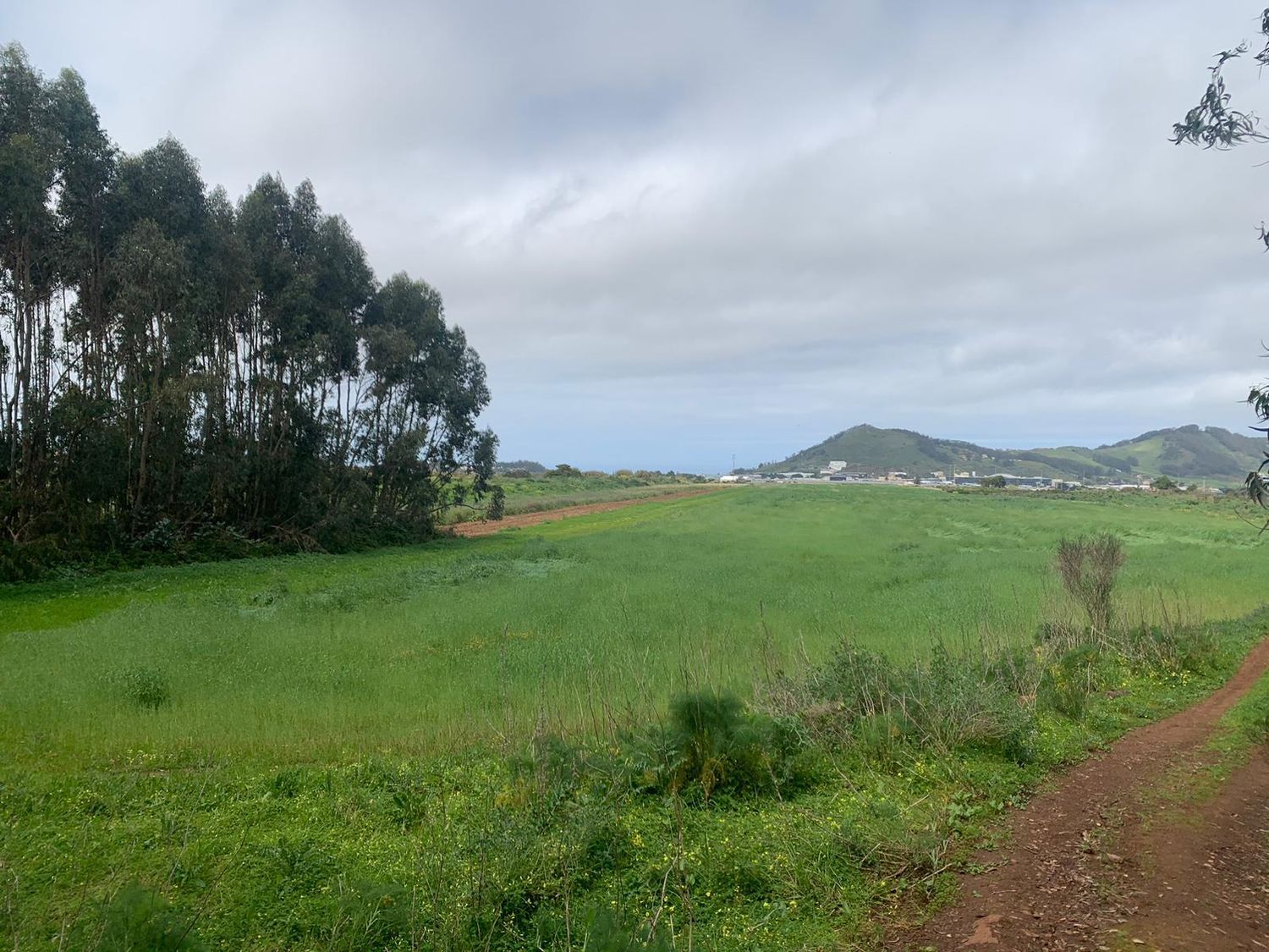 Terrenos en San Cristóbal de La Laguna, LA LAGUNA — imagen 3