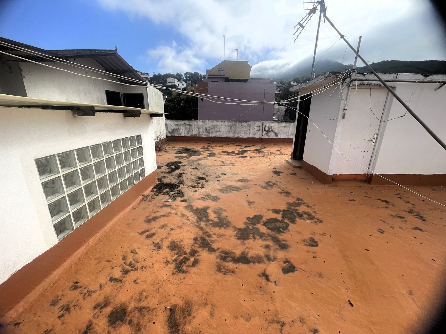 Pareados en Teror — imagen 39