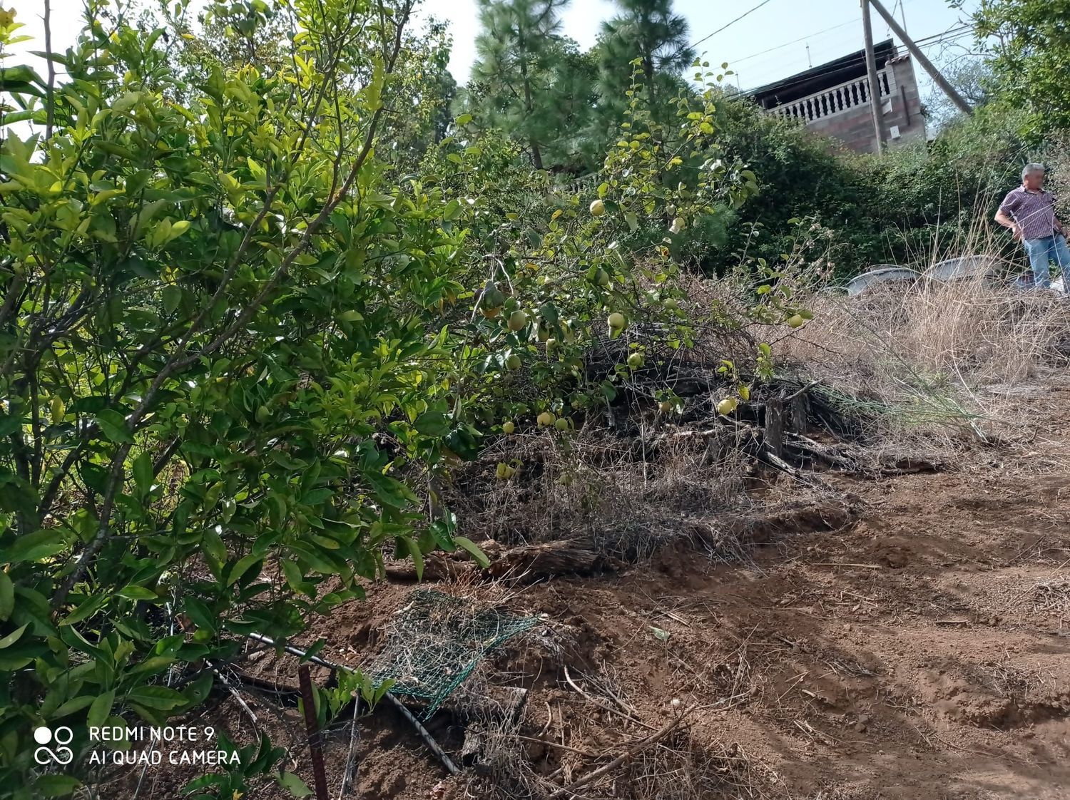 Terrenos en Moya — imagen 79