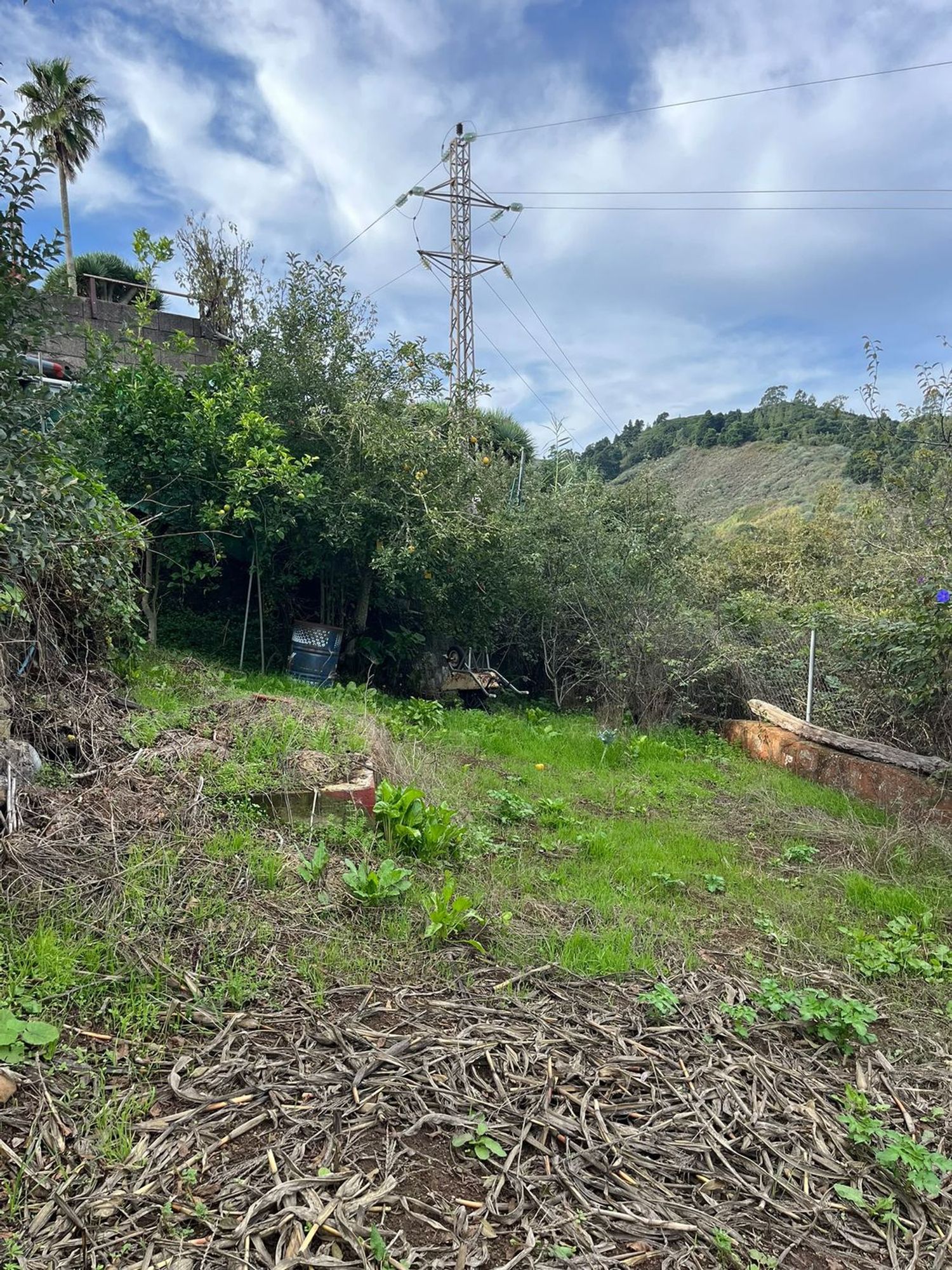 Independientes en Santa María de Guía de Gran Canaria — imagen 19