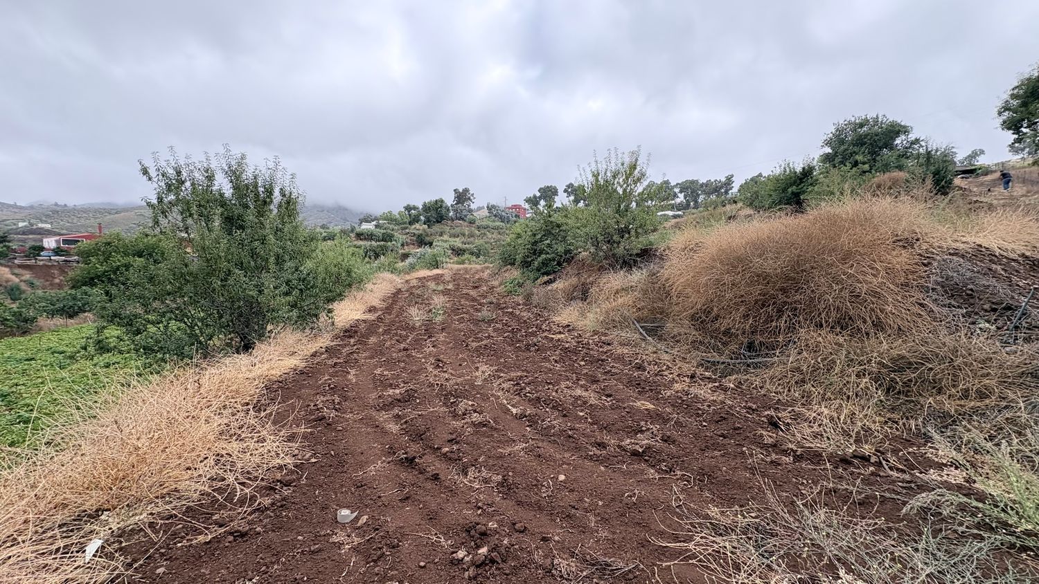 Terrenos en Vega de San Mateo — imagen 12