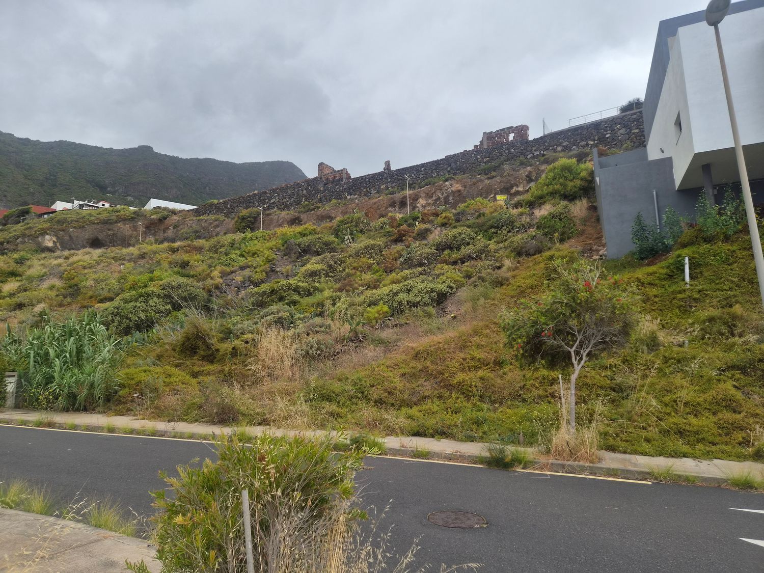 Terrenos en Garachico — imagen 5