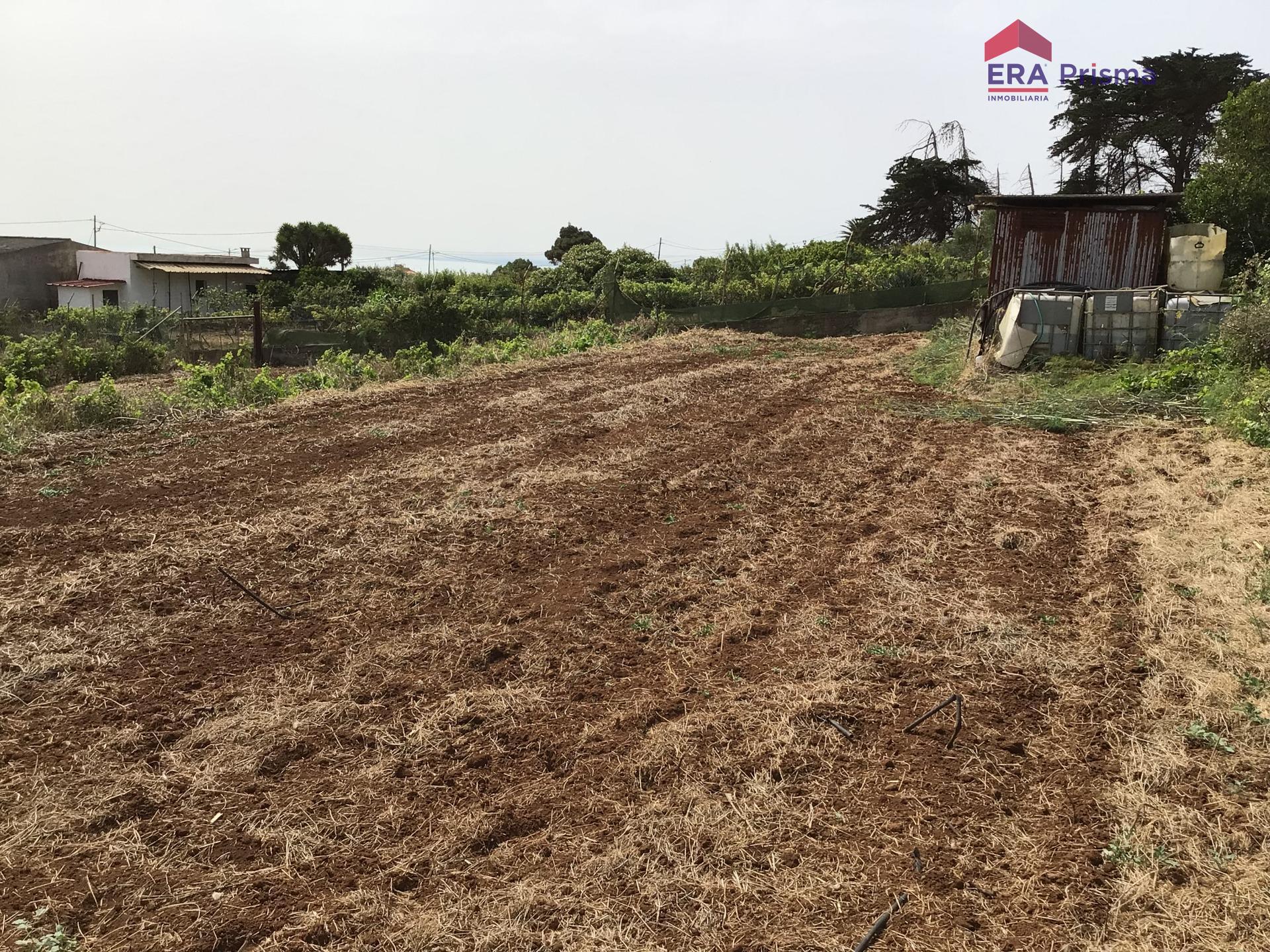 Casas rústicas en San Cristóbal de La Laguna, Los Baldíos — imagen 7