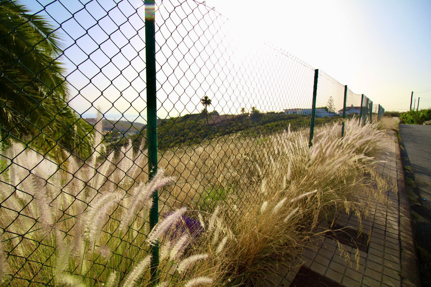 Terrenos en Palmas de Gran Canaria, Las, Tafira — imagen 8
