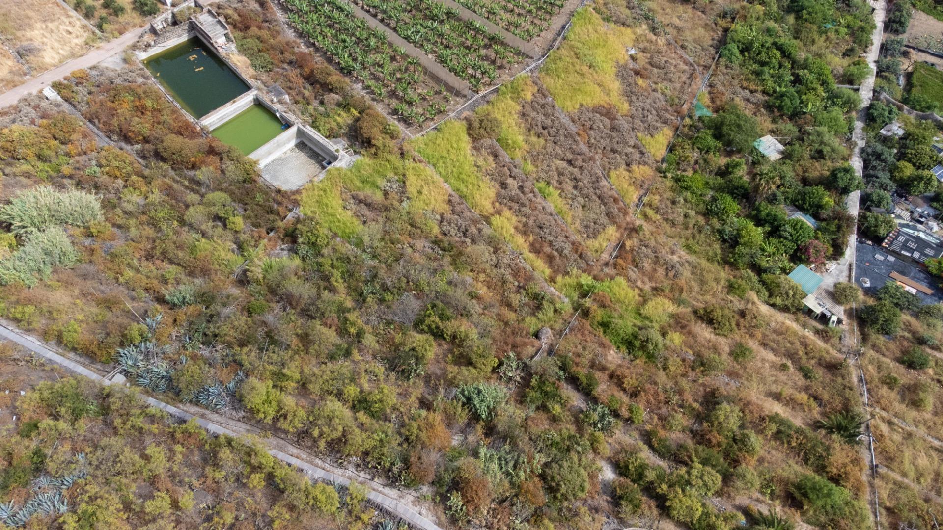 Casas rústicas en Silos, Los, Zona Centro — imagen 16