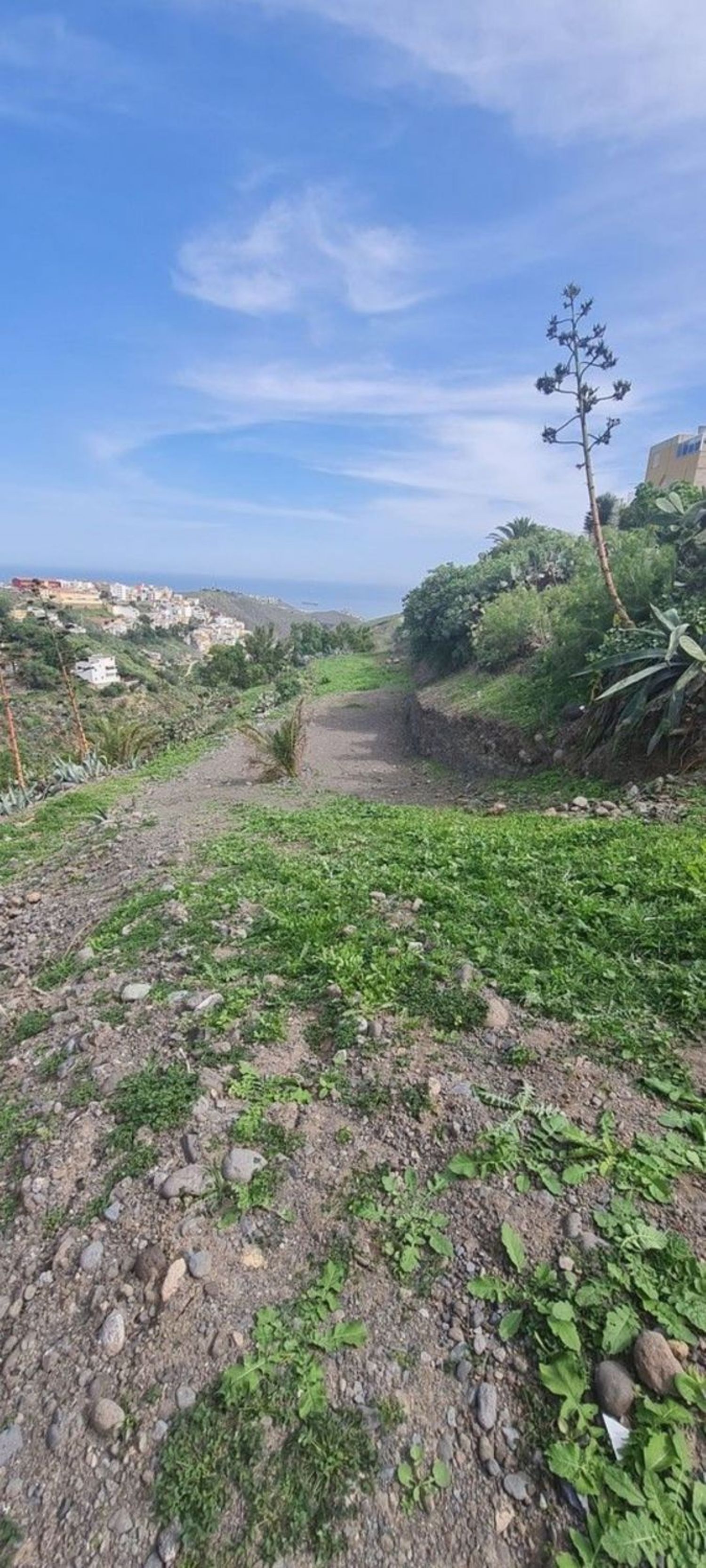 Terrenos en Palmas de Gran Canaria, Las, Tafira — imagen 2