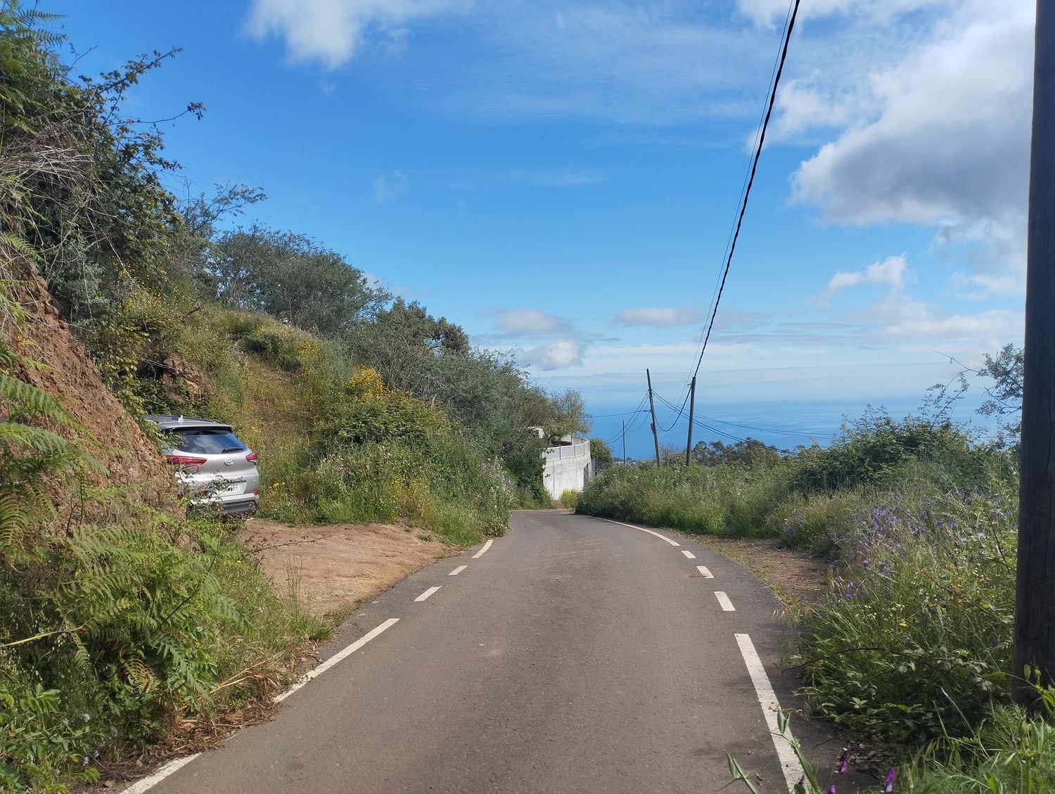 Terrenos en Moya — imagen 25
