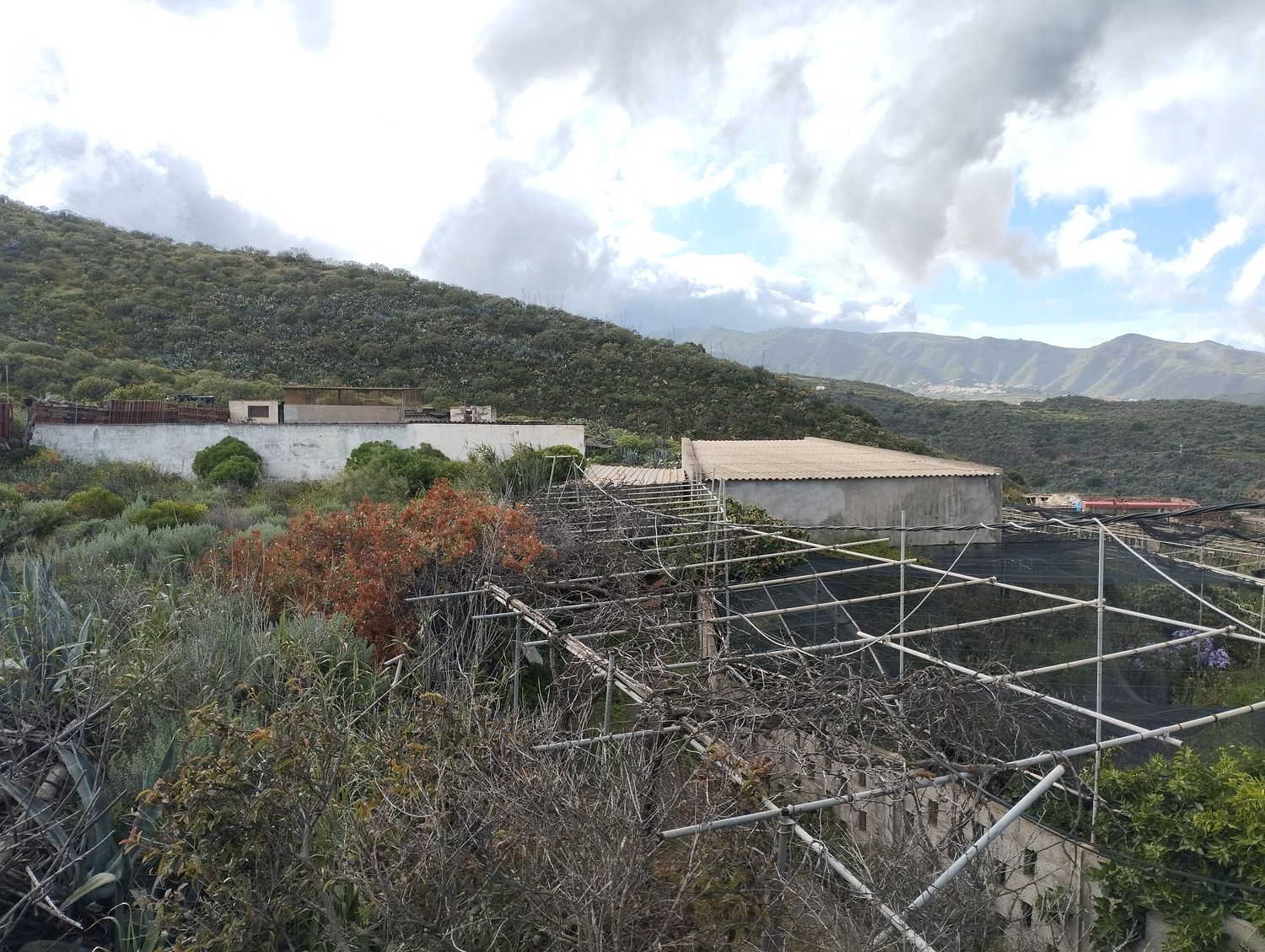 Terrenos en Telde — imagen 34