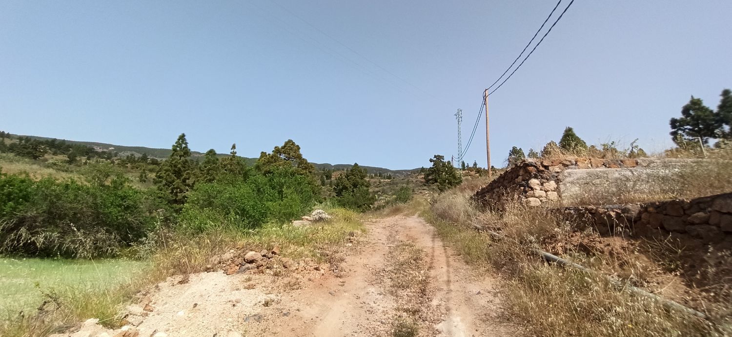 Terrenos en Fasnia — imagen 40