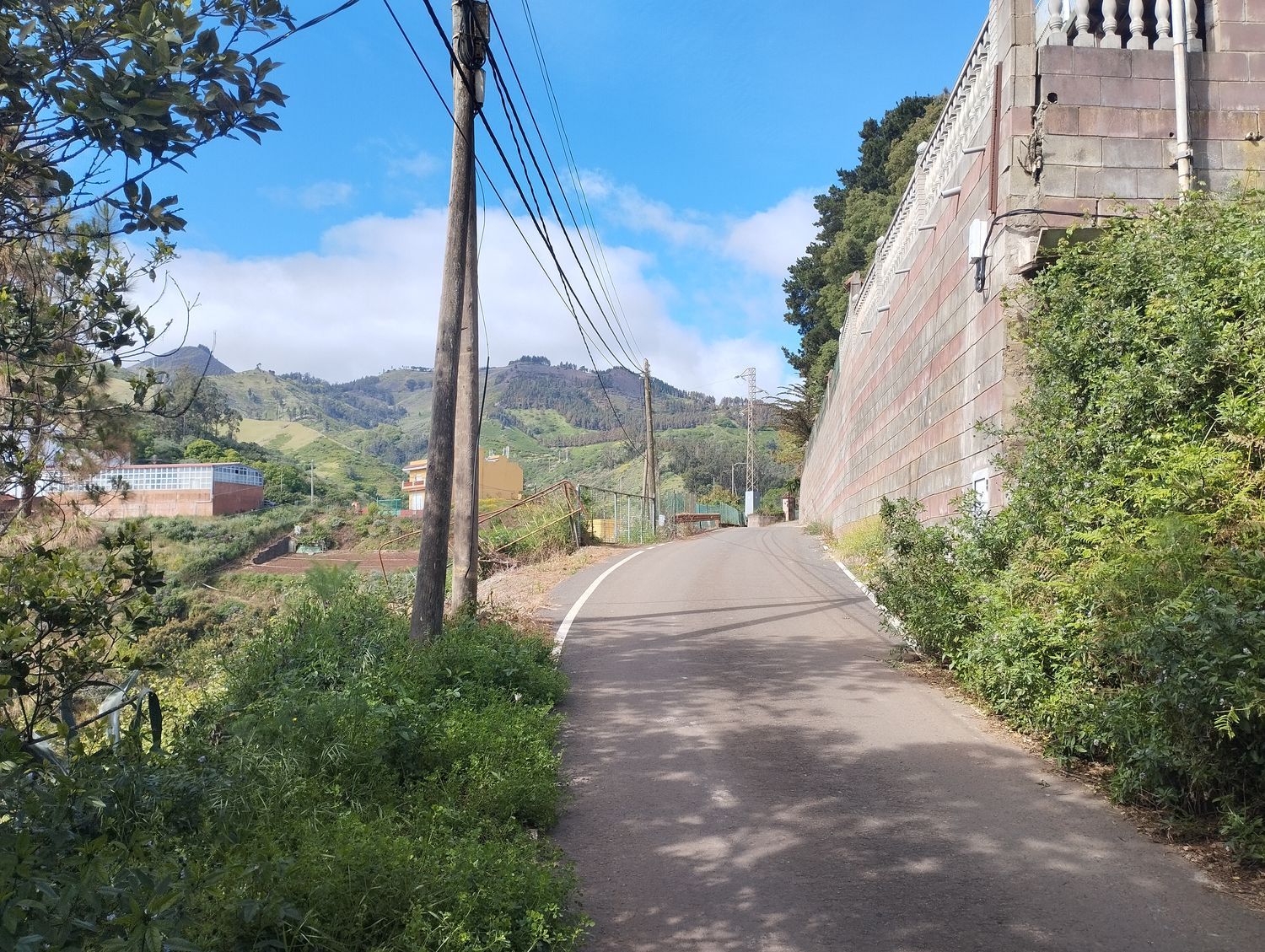 Terrenos en Moya — imagen 12