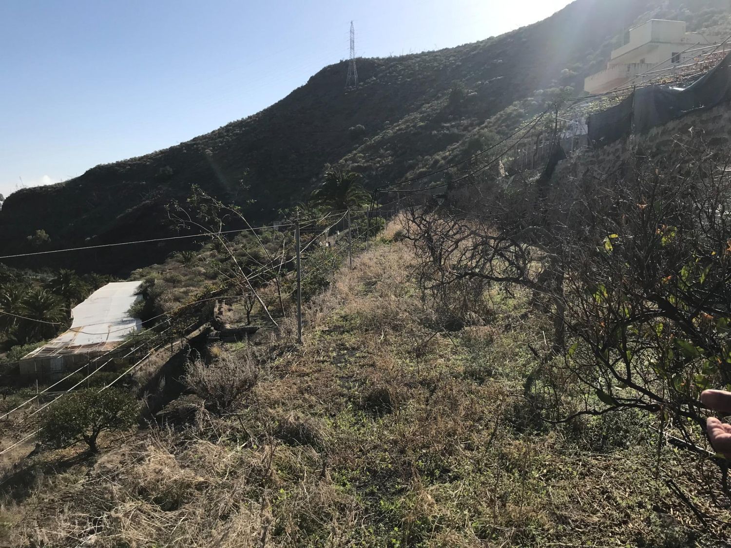 Casas rústicas en Telde — imagen 24