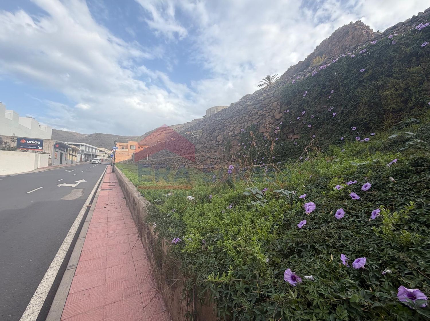 Terrenos en Alajeró — imagen 9