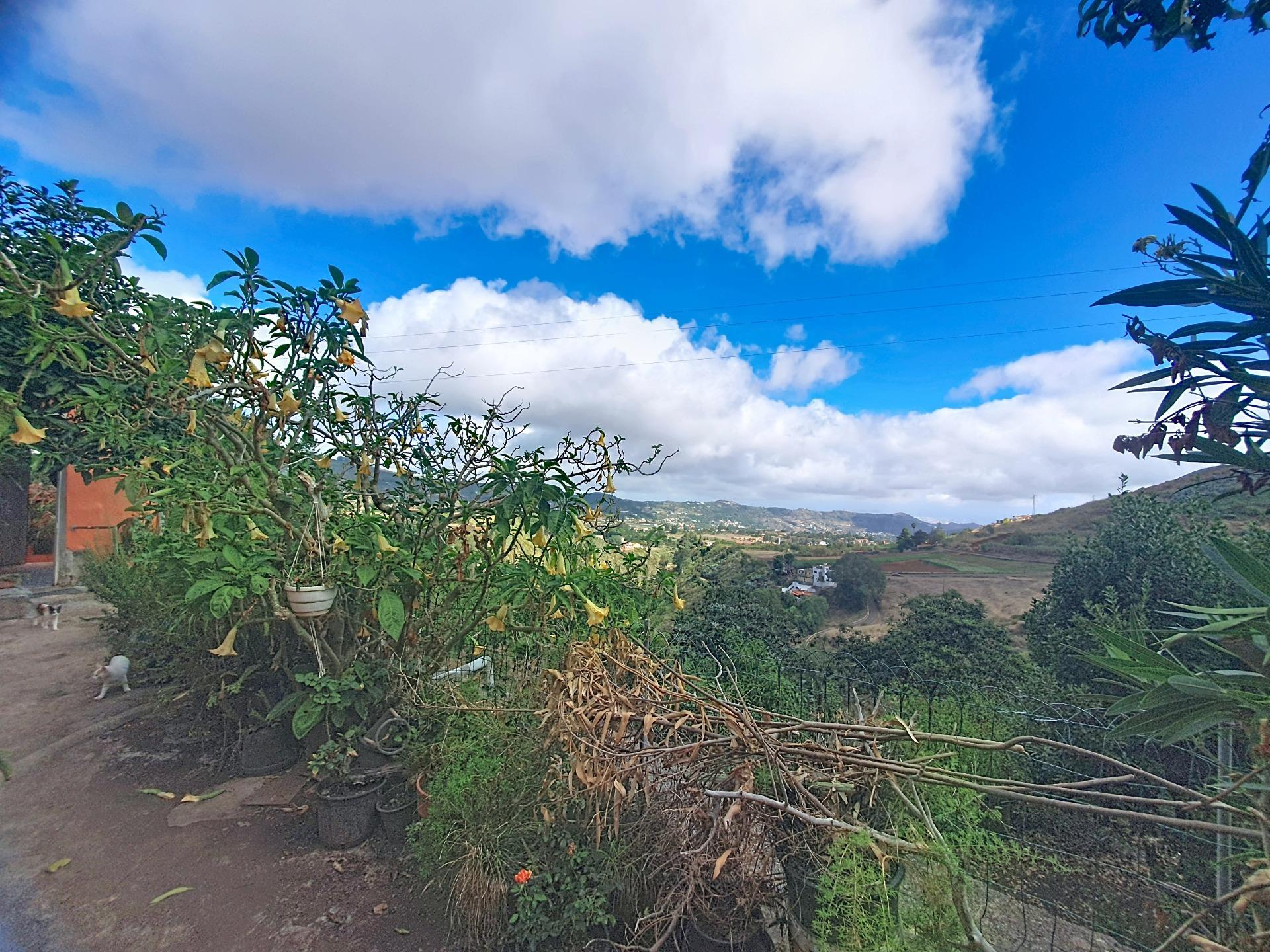 Independientes en Vega de San Mateo, Islas canarias — imagen 19