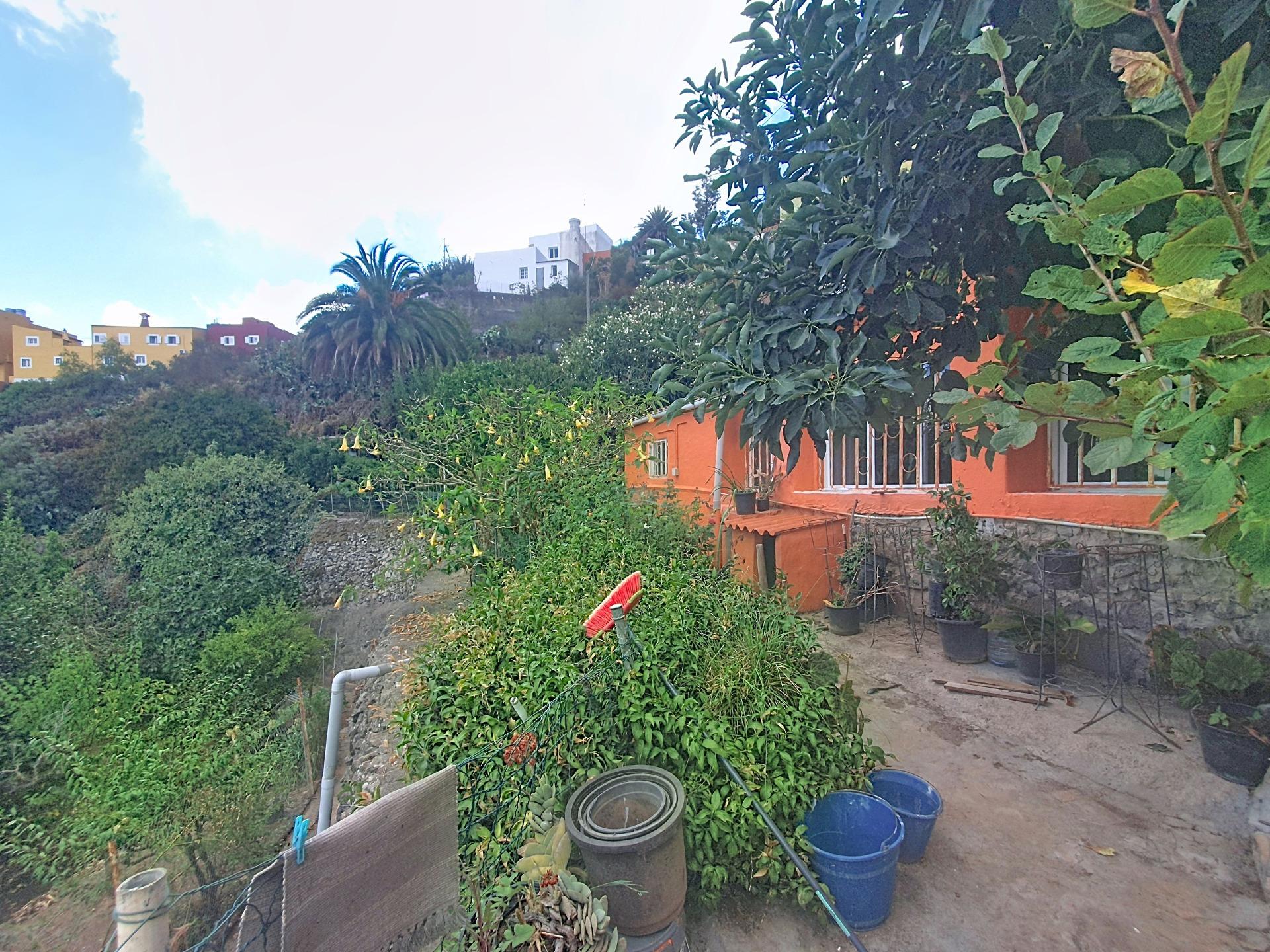 Independientes en Vega de San Mateo, Islas canarias — imagen 17