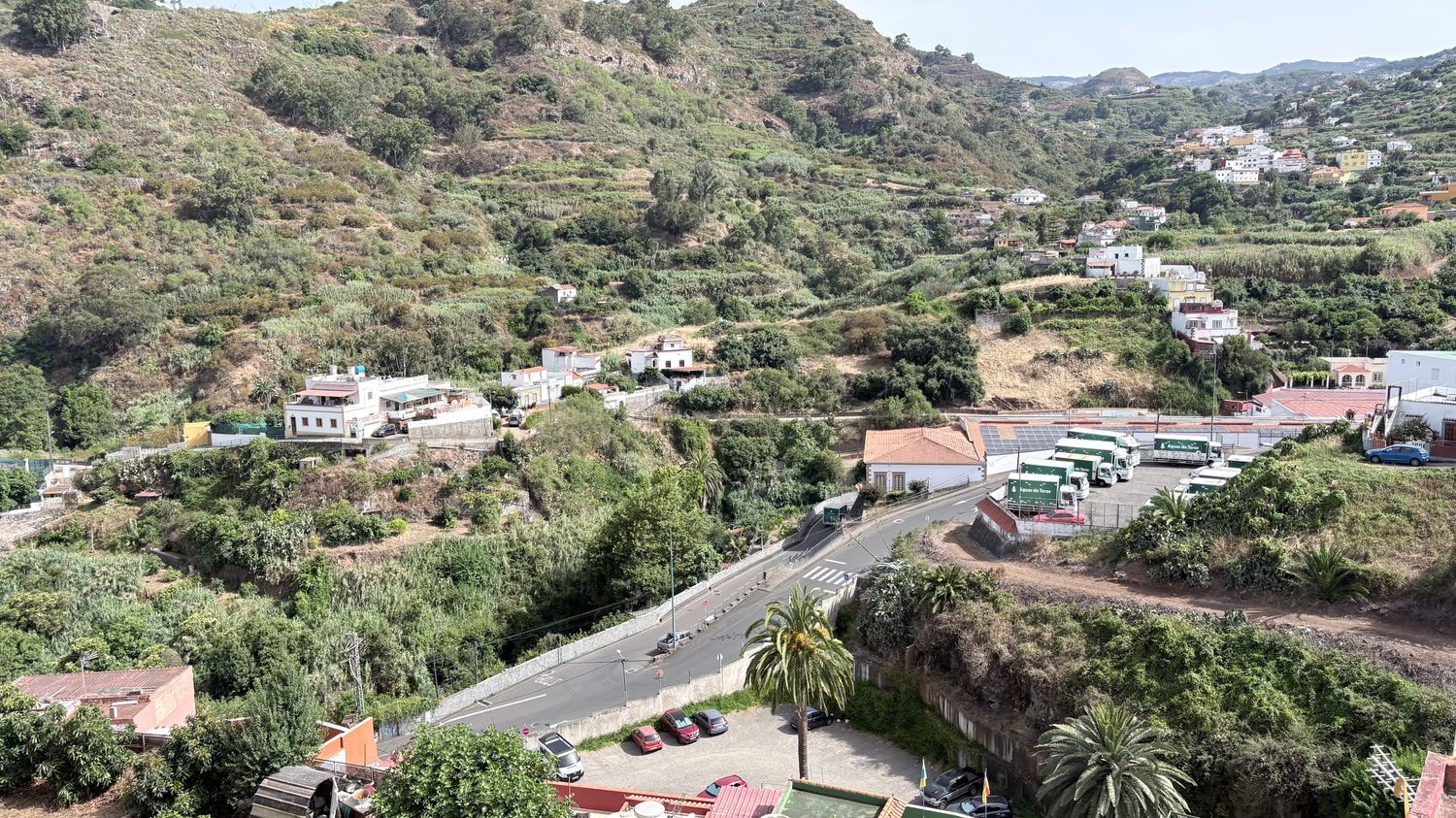 Pareados en Teror — imagen 26
