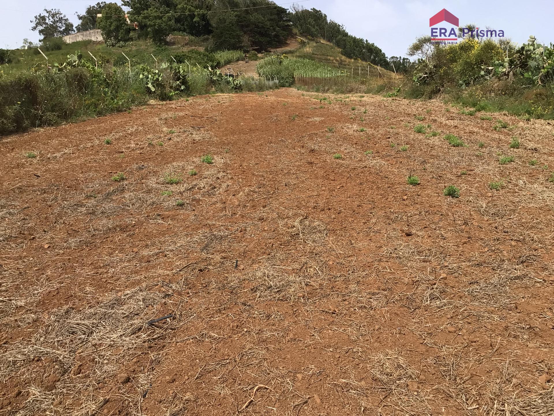 Casas rústicas en San Cristóbal de La Laguna, Los Baldíos — imagen 18