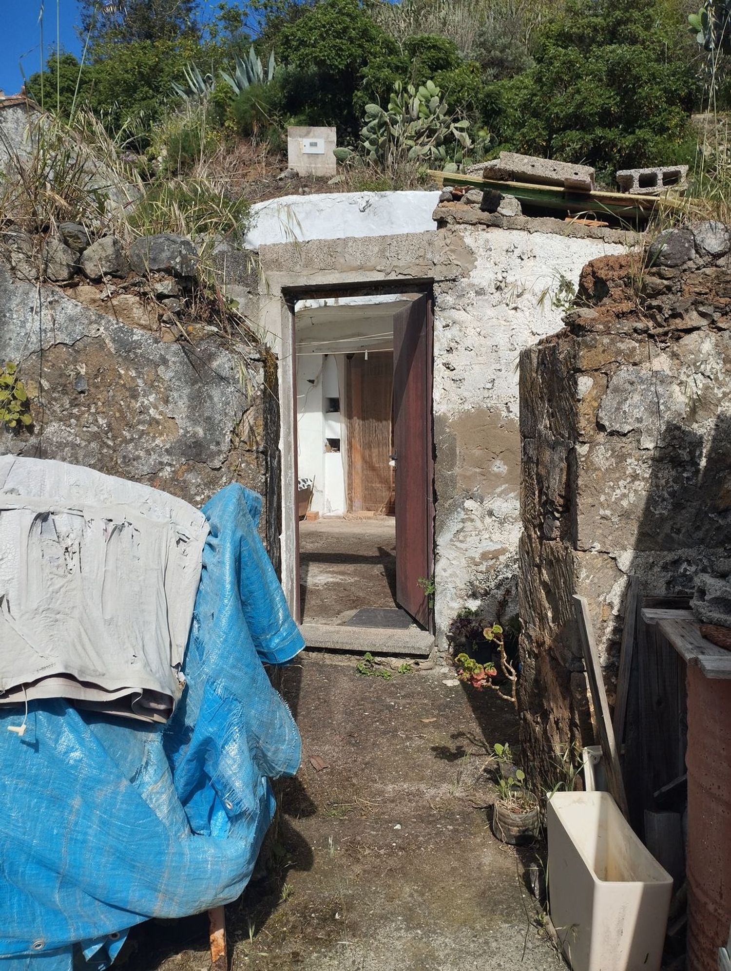 Terrenos en Moya — imagen 42