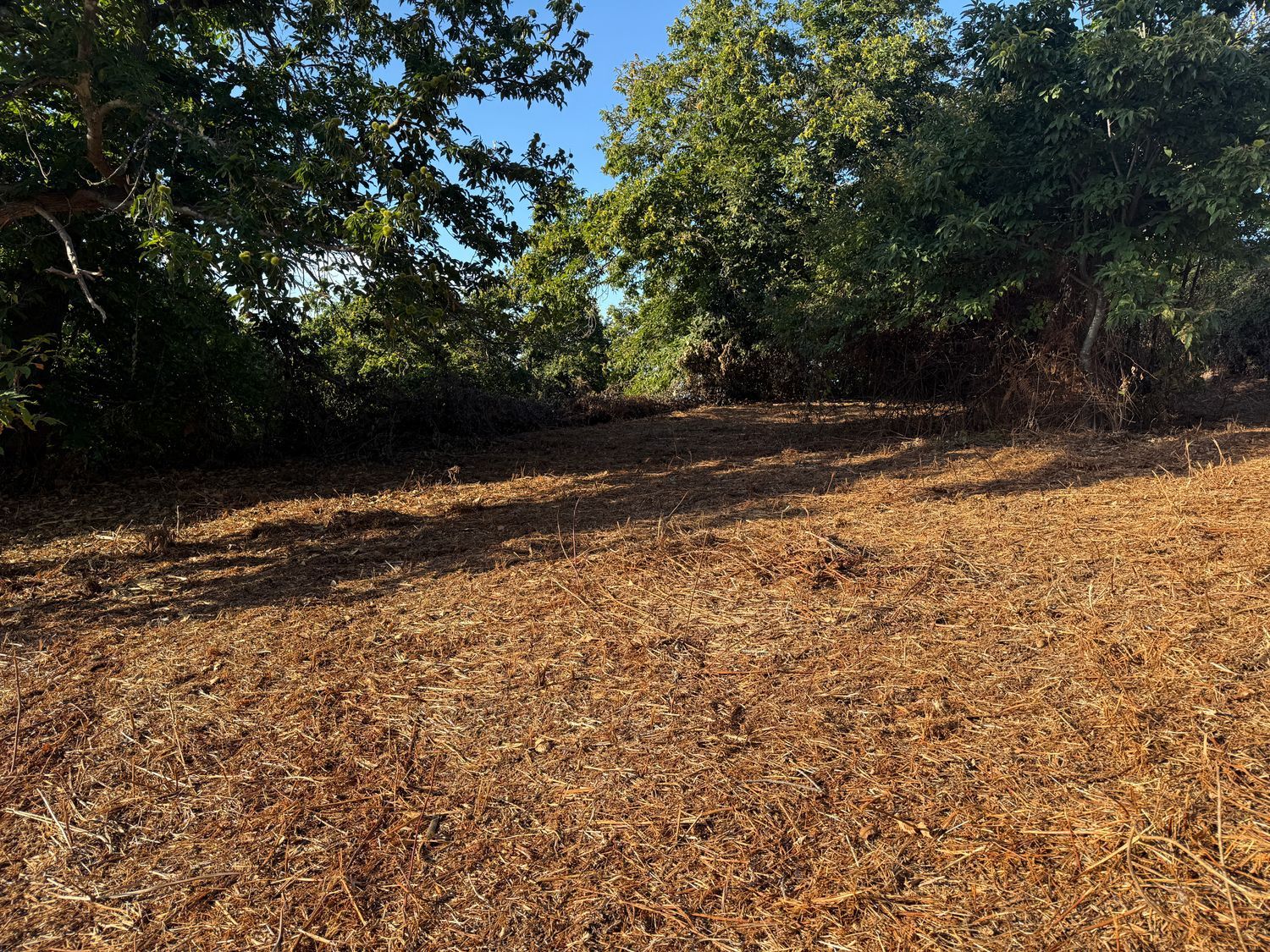 Terrenos en Matanza de Acentejo, La — imagen 10