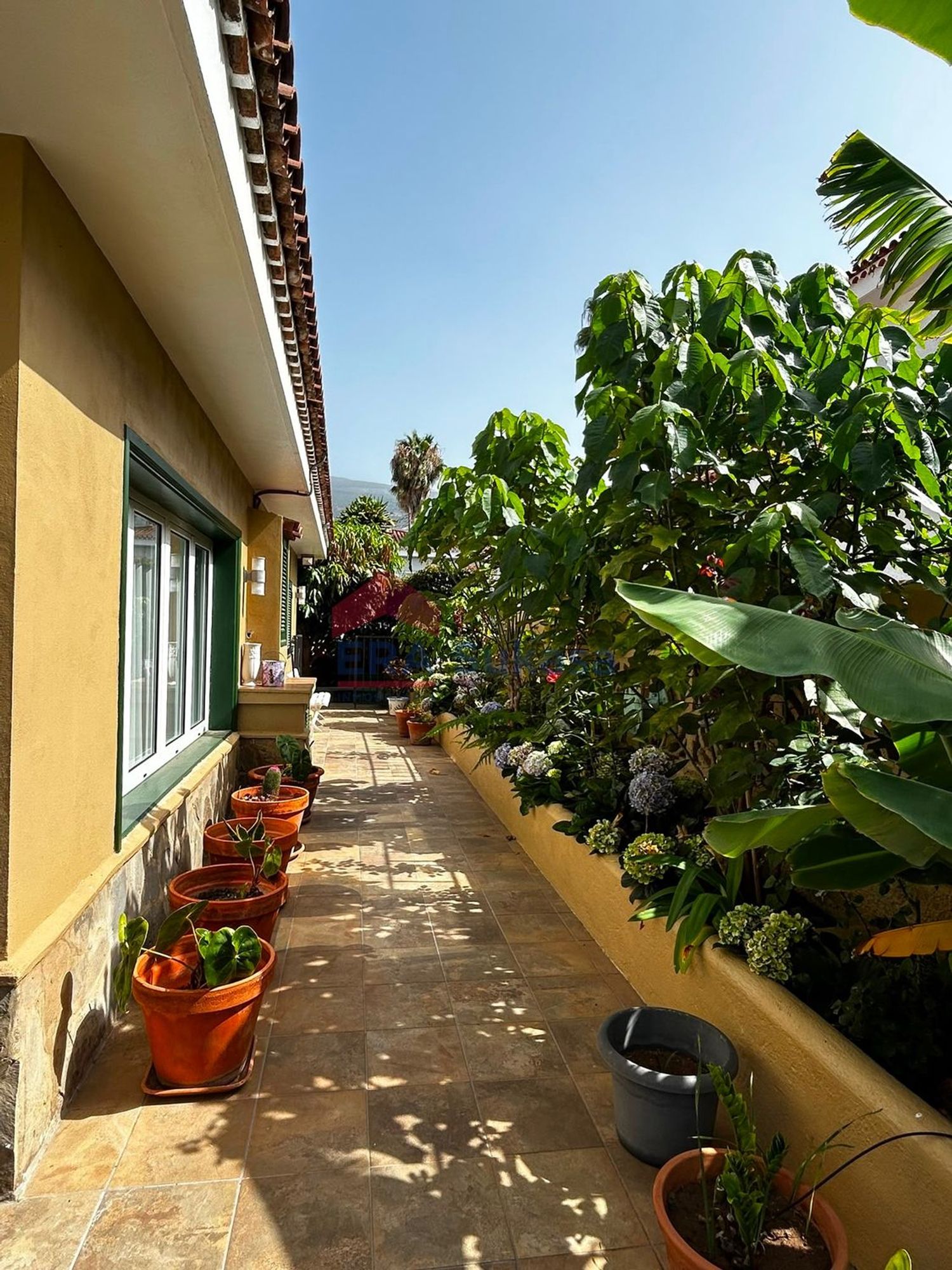 Independientes en Orotava, La — imagen 10