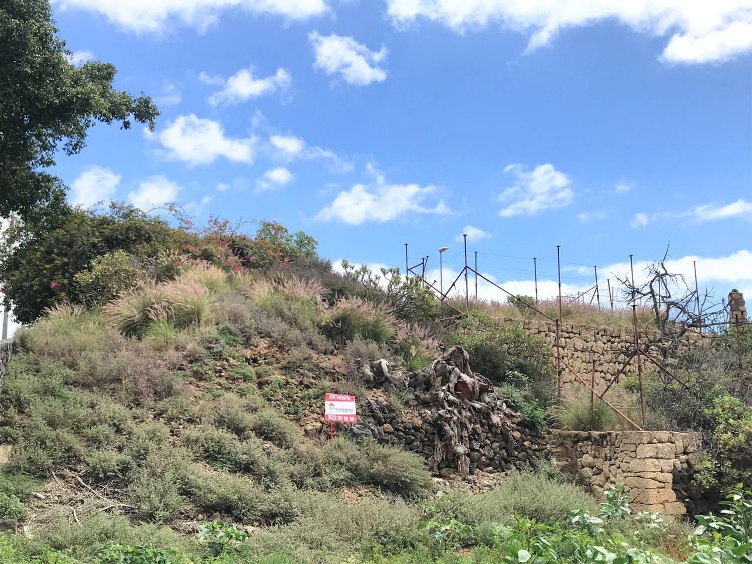 Terrenos en Güímar — imagen 9