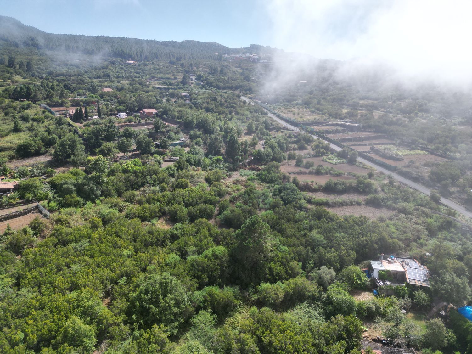 Terrenos en Tanque, El — imagen 3