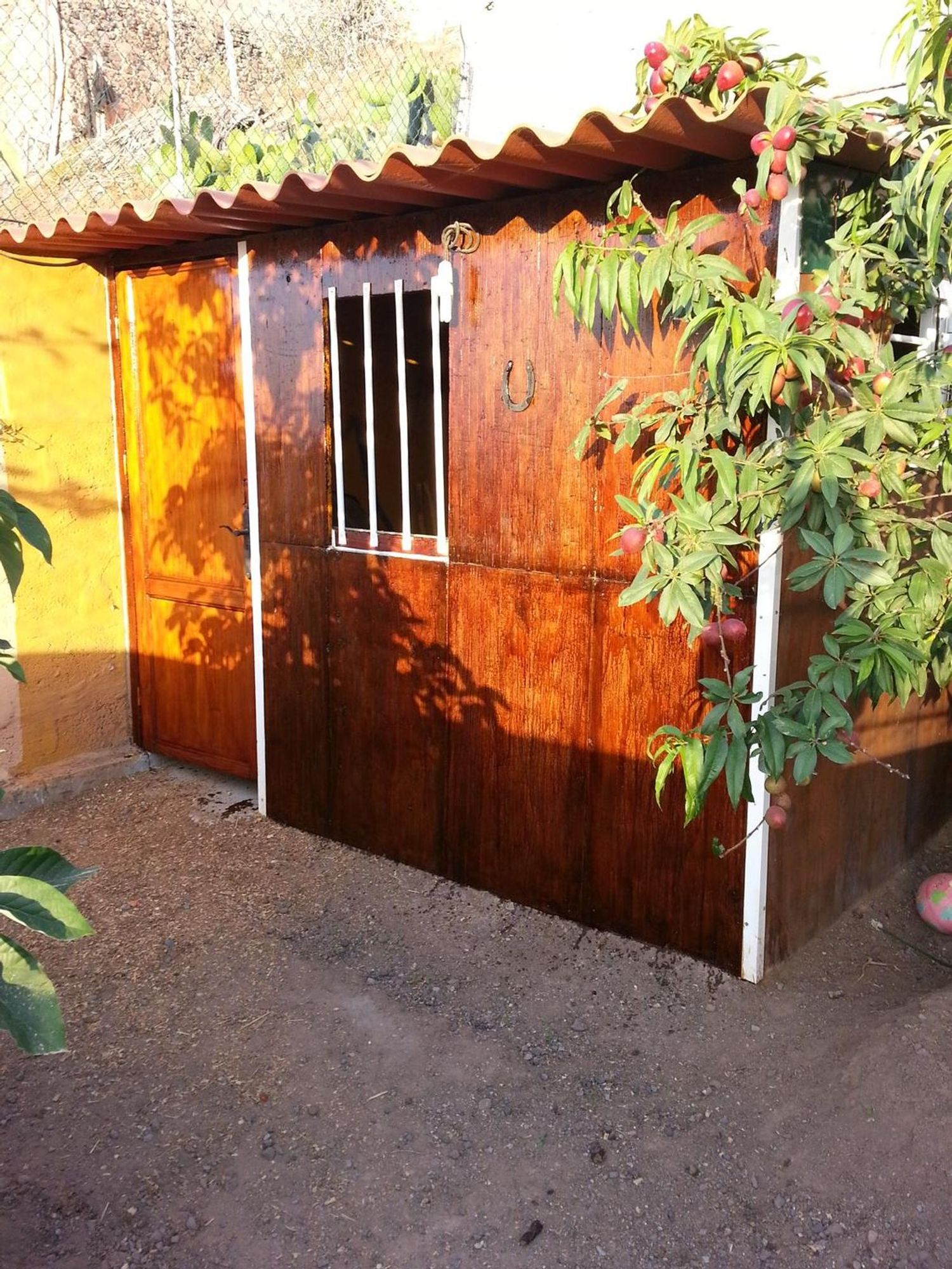 Pareados en Arucas — imagen 26
