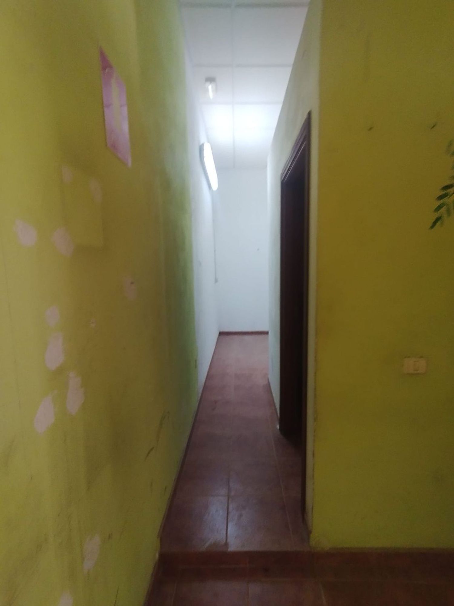 Locales o naves en Hermigua — imagen 4