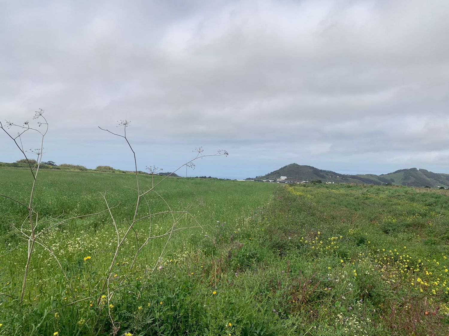Terrenos en San Cristóbal de La Laguna, LA LAGUNA — imagen 6