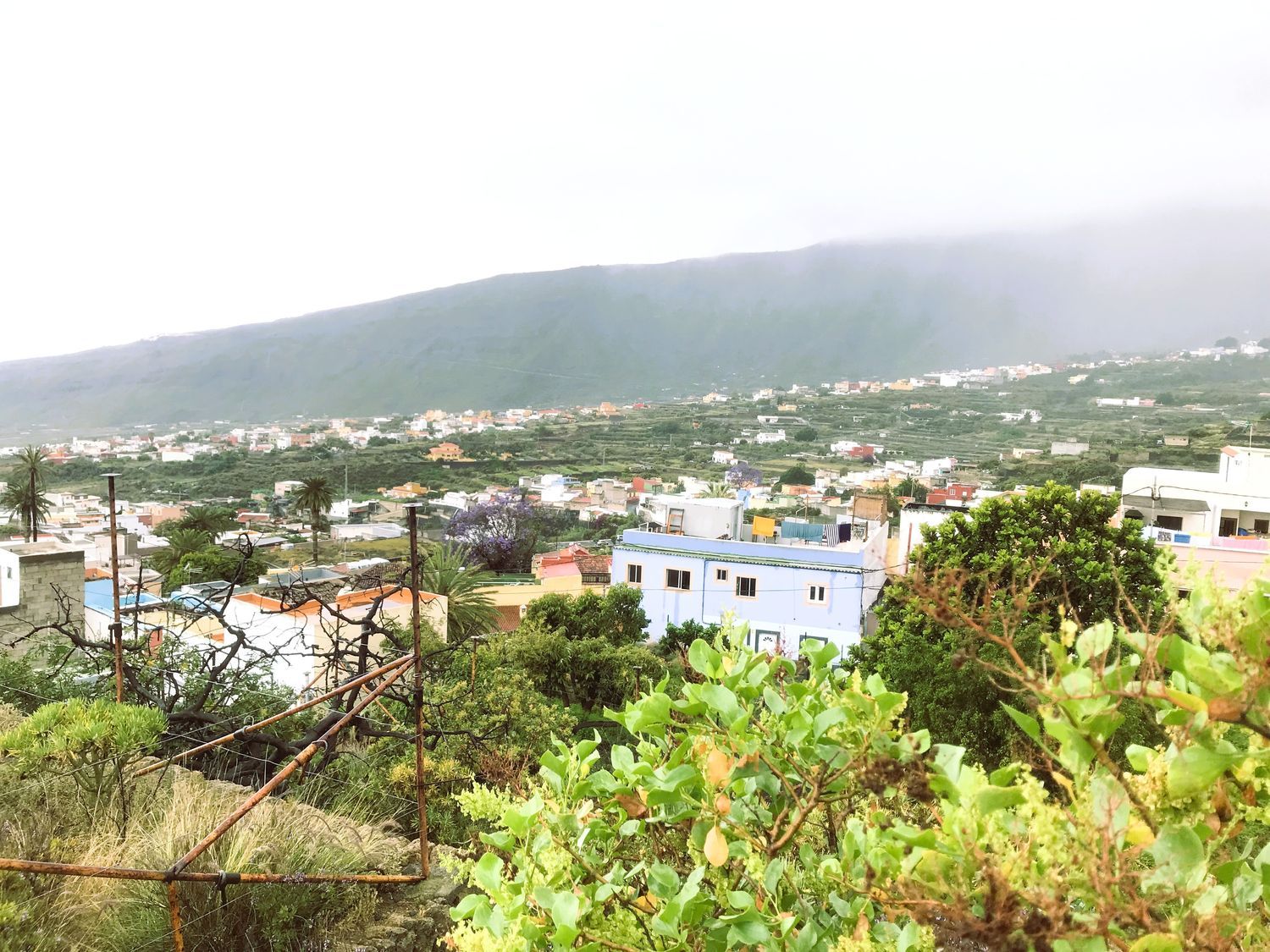 Terrenos en Güímar — imagen 17
