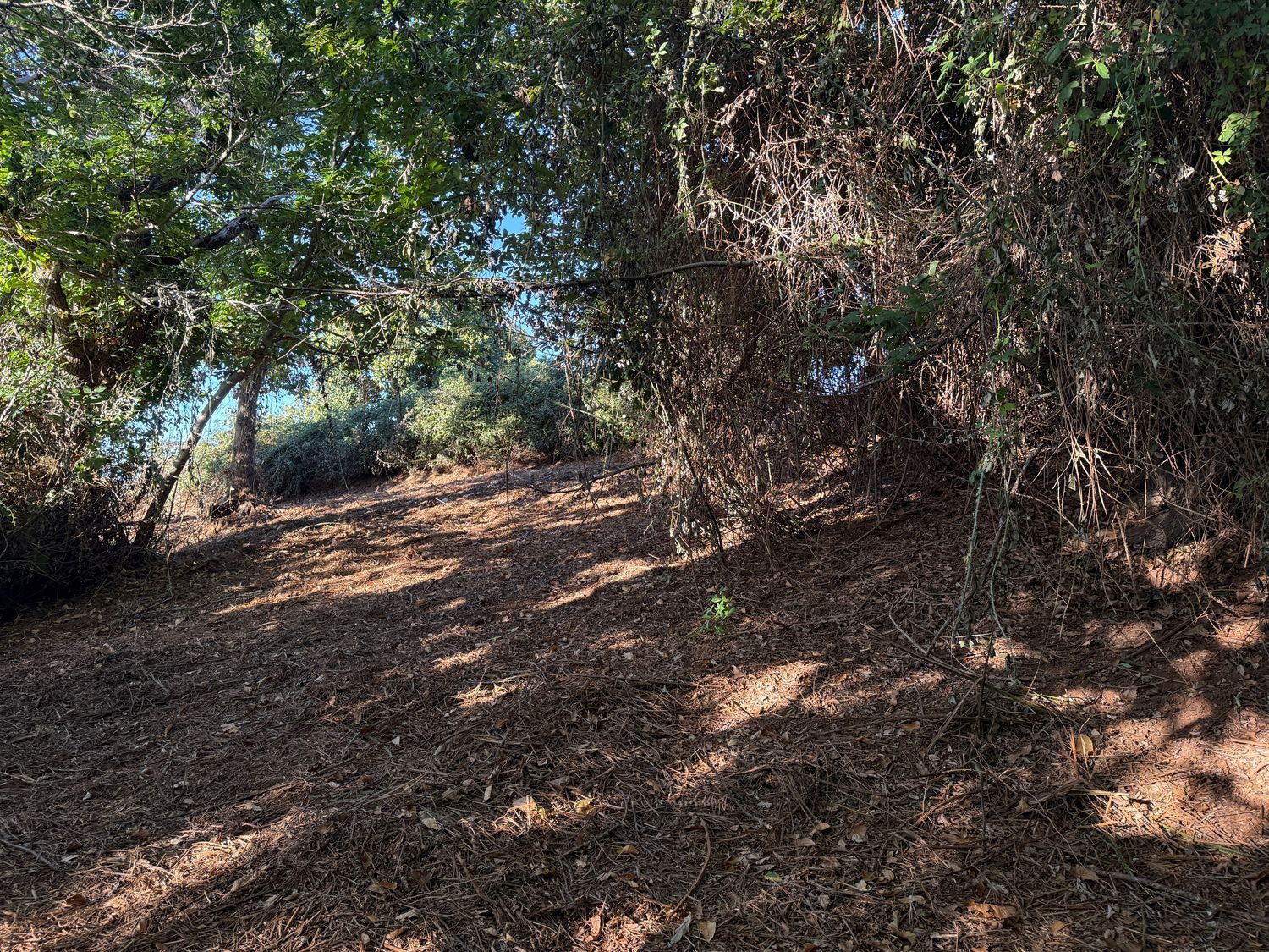 Terrenos en Matanza de Acentejo, La — imagen 3