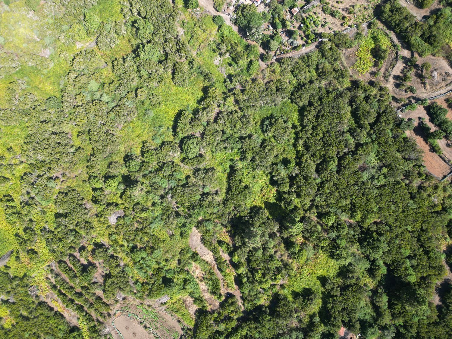 Terrenos en Tanque, El — imagen 5
