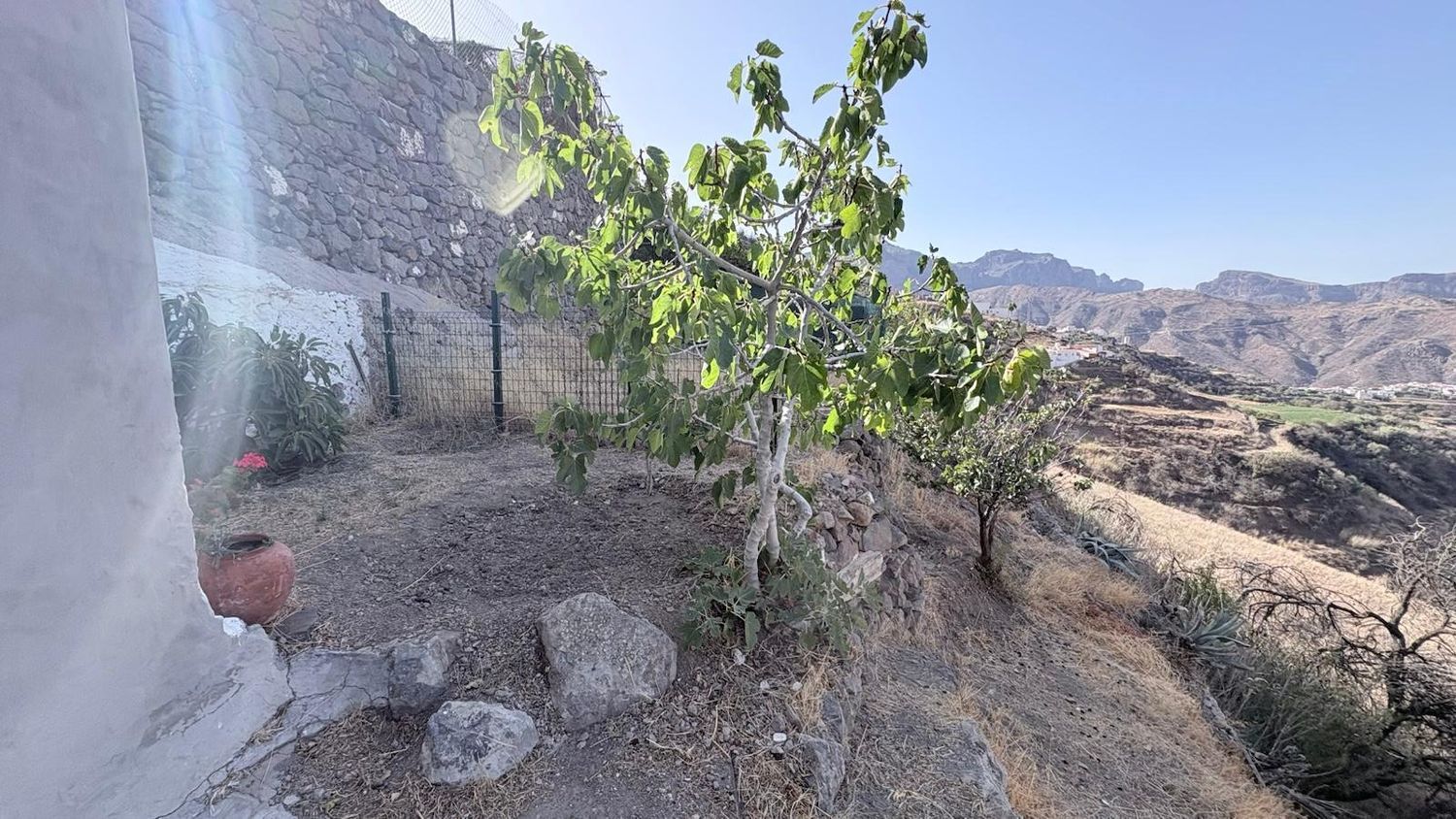 Pareados en Tejeda — imagen 15